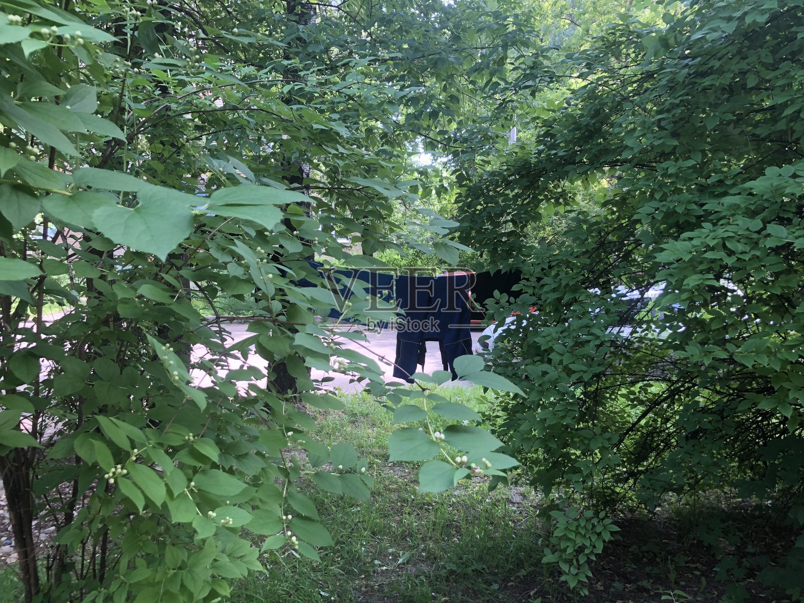 洗线在路上与裤子靠近树照片摄影图片