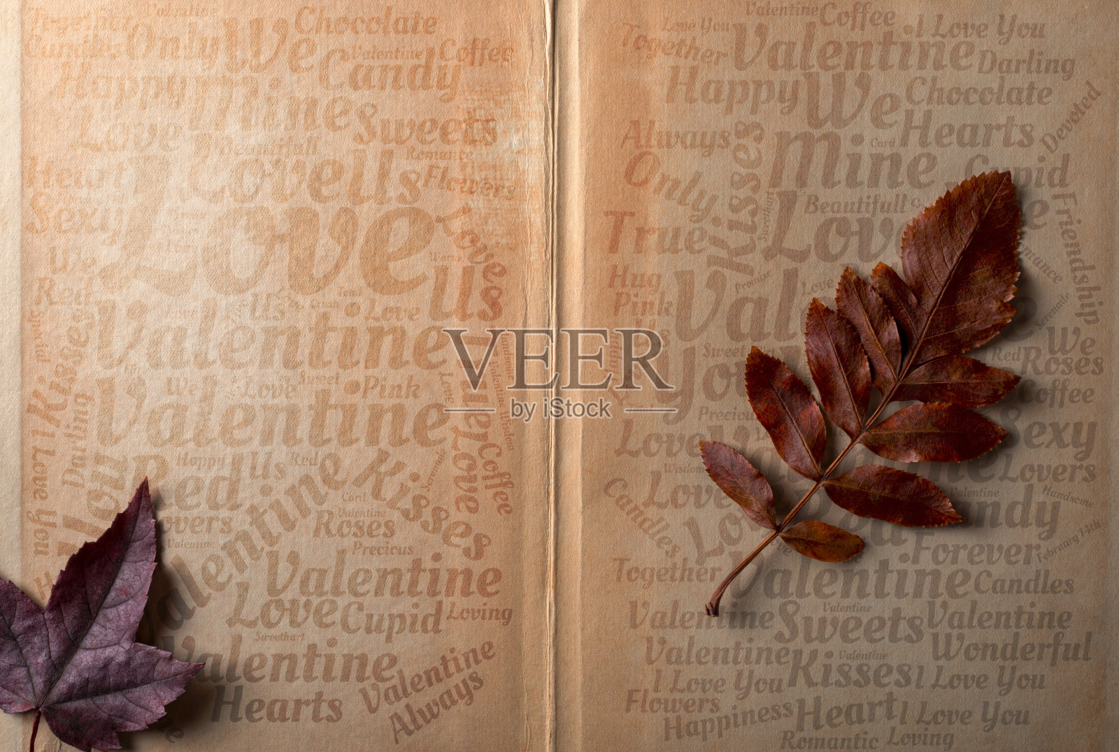 关于爱的主题和枯叶在旧书纸上。爱情和情人节概念照片。照片摄影图片