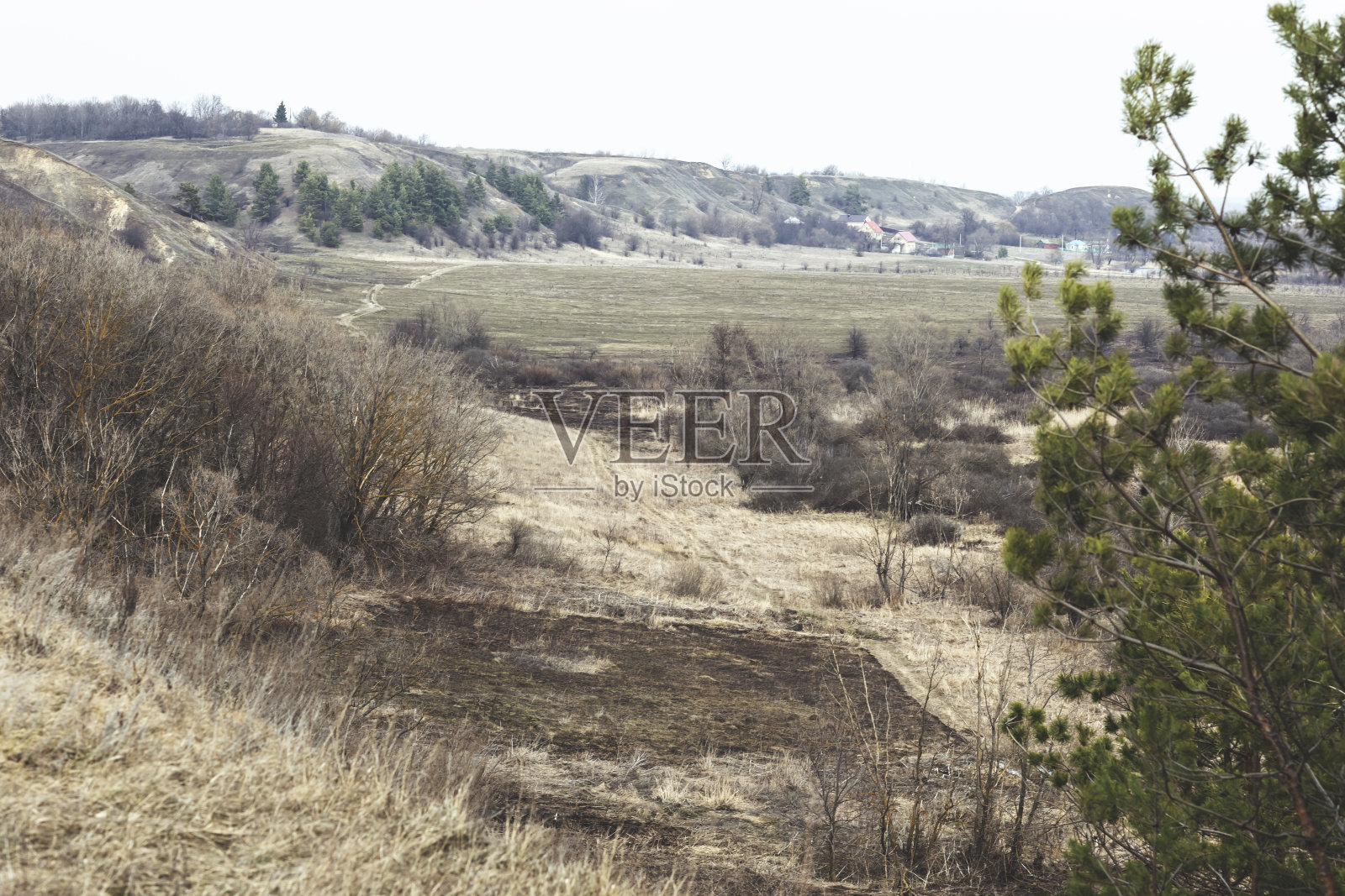 早春美景。照片摄影图片