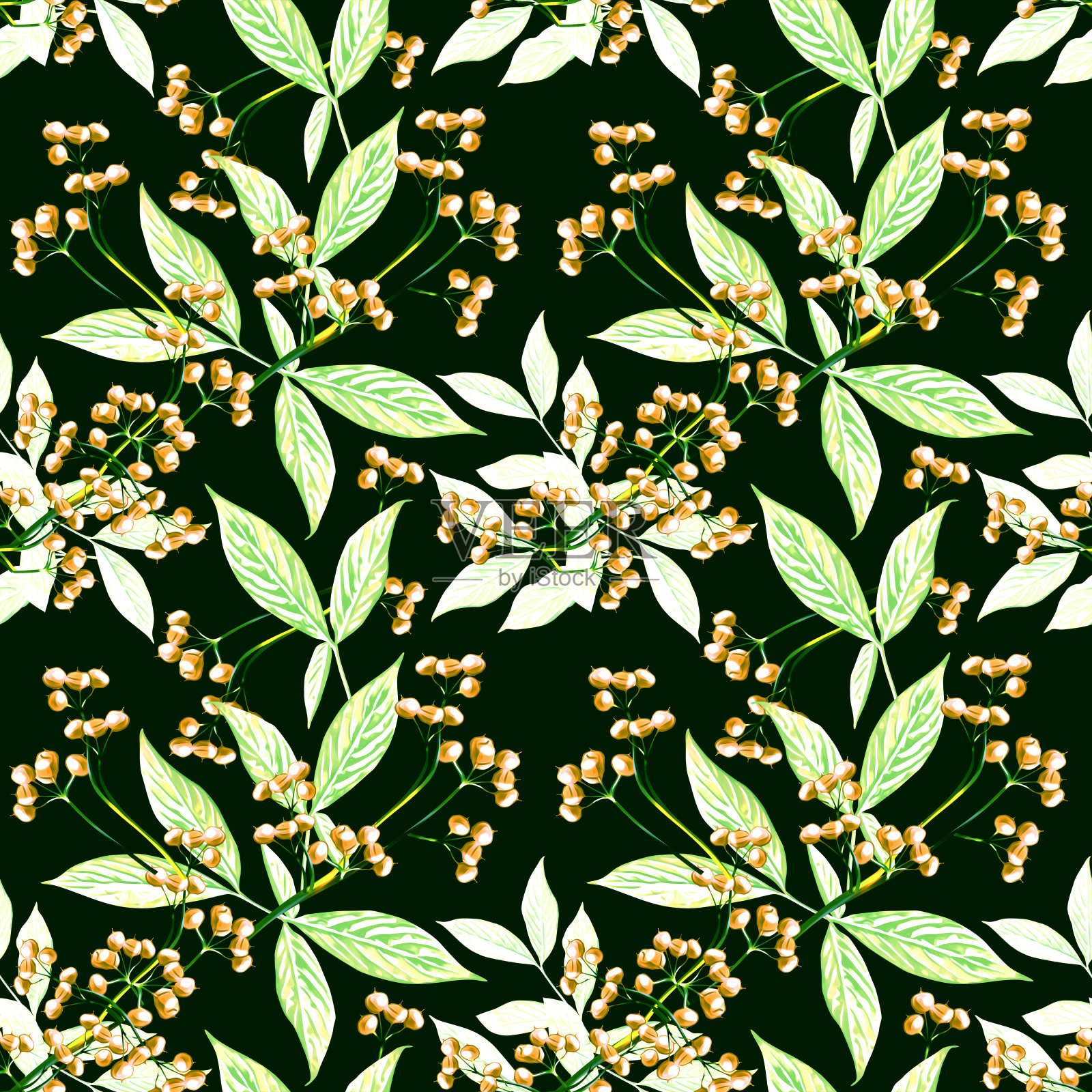 叶与浆果，无缝图案。插画图片素材