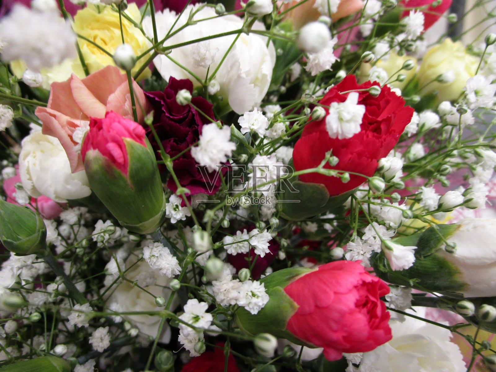 鲜艳的康乃馨和婴儿呼吸花束2020照片摄影图片