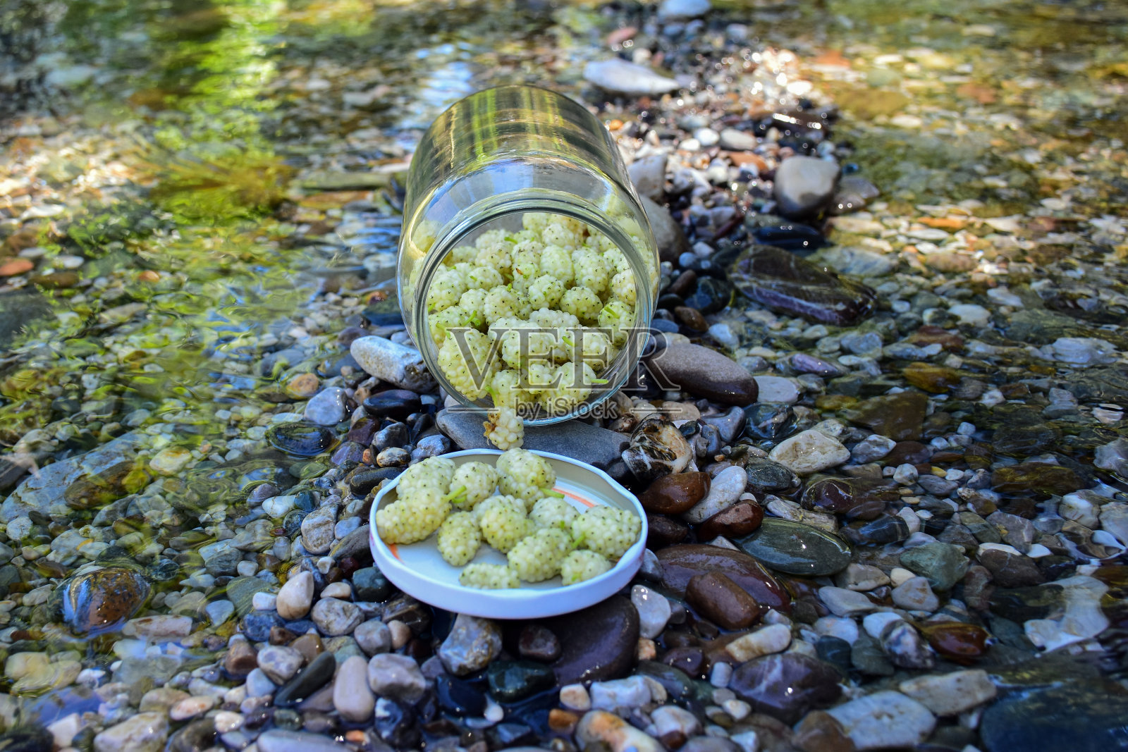 桑照片摄影图片