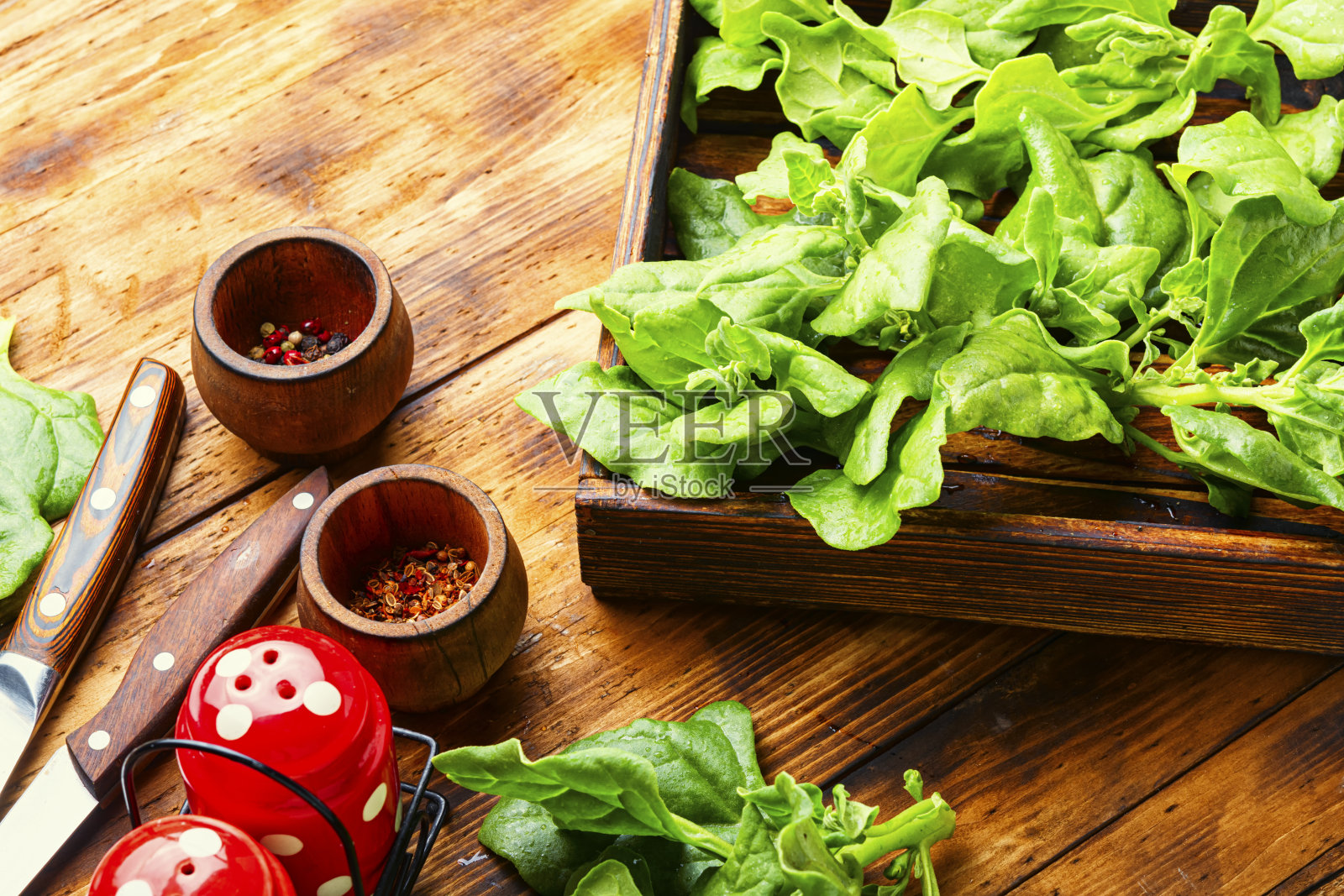 新鲜菠菜照片摄影图片