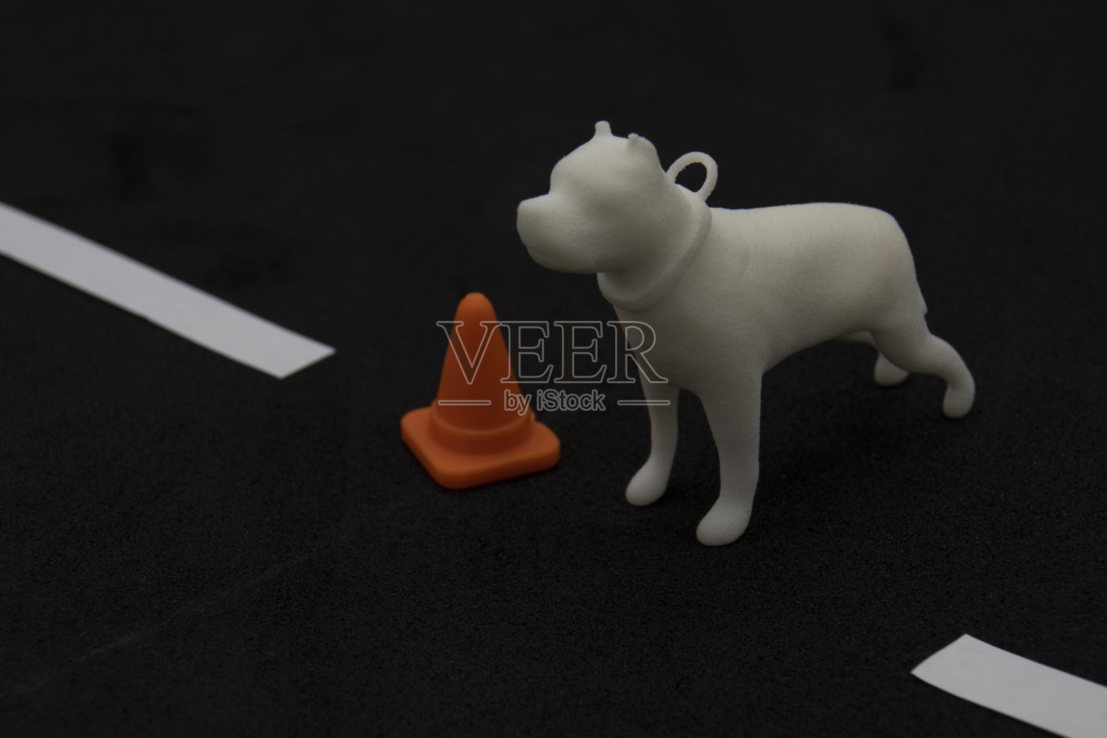 狗在路上照片摄影图片