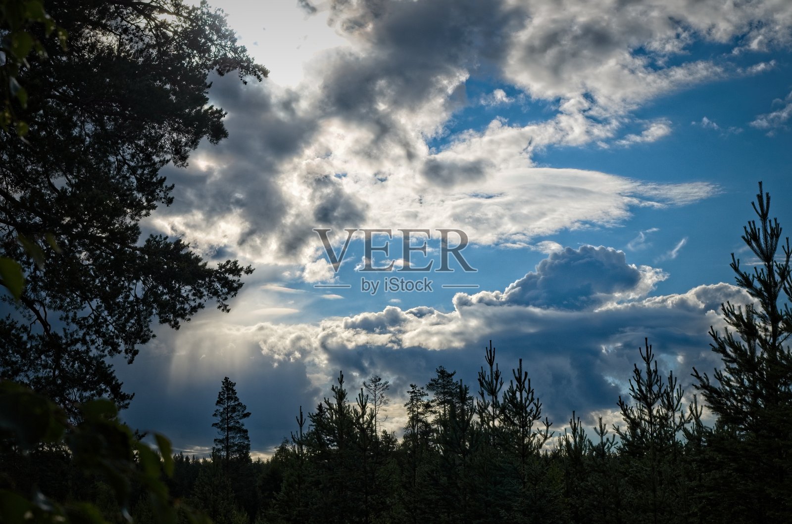 天空中的云照片摄影图片