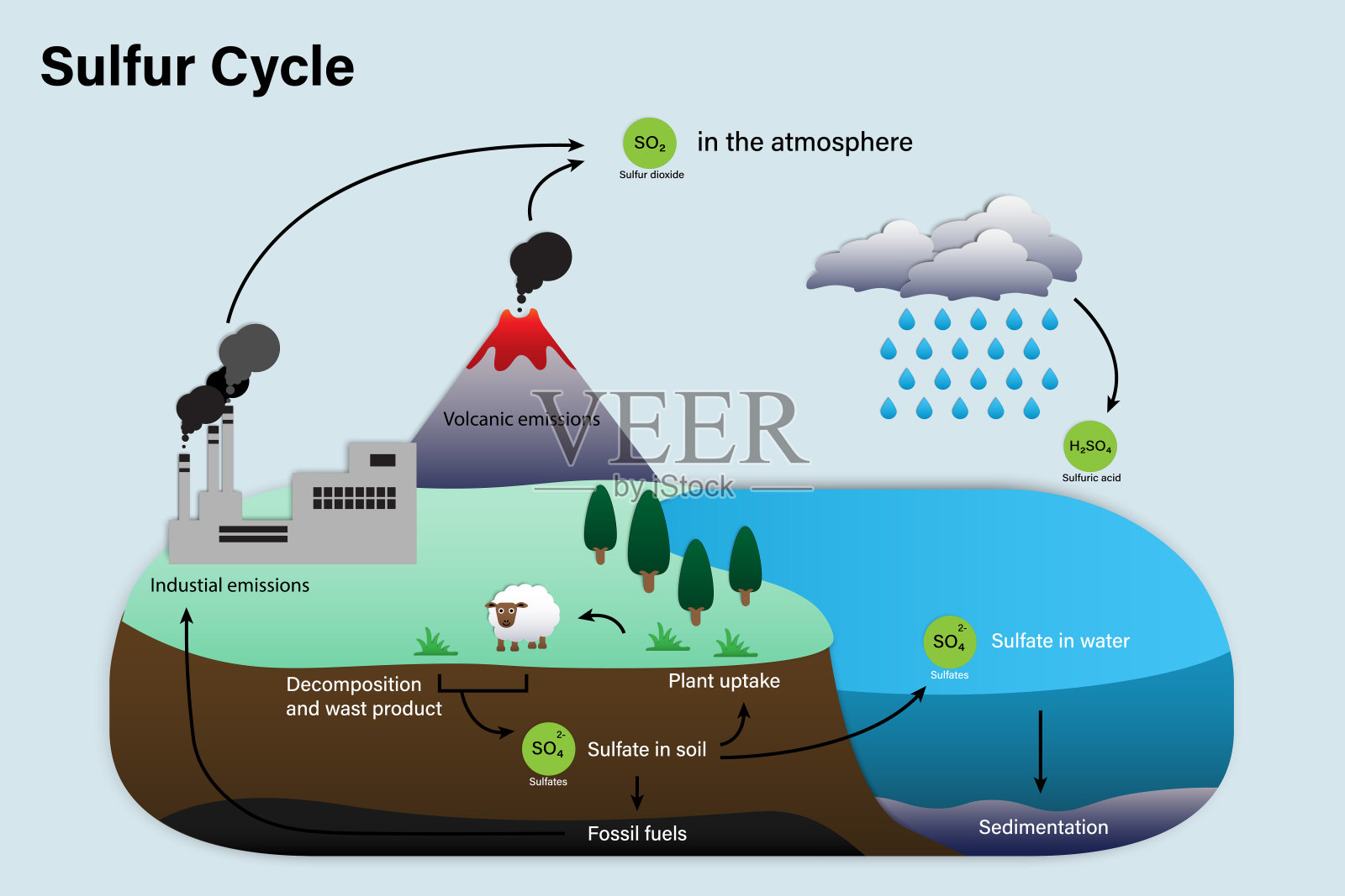 硫循环图插画图片素材