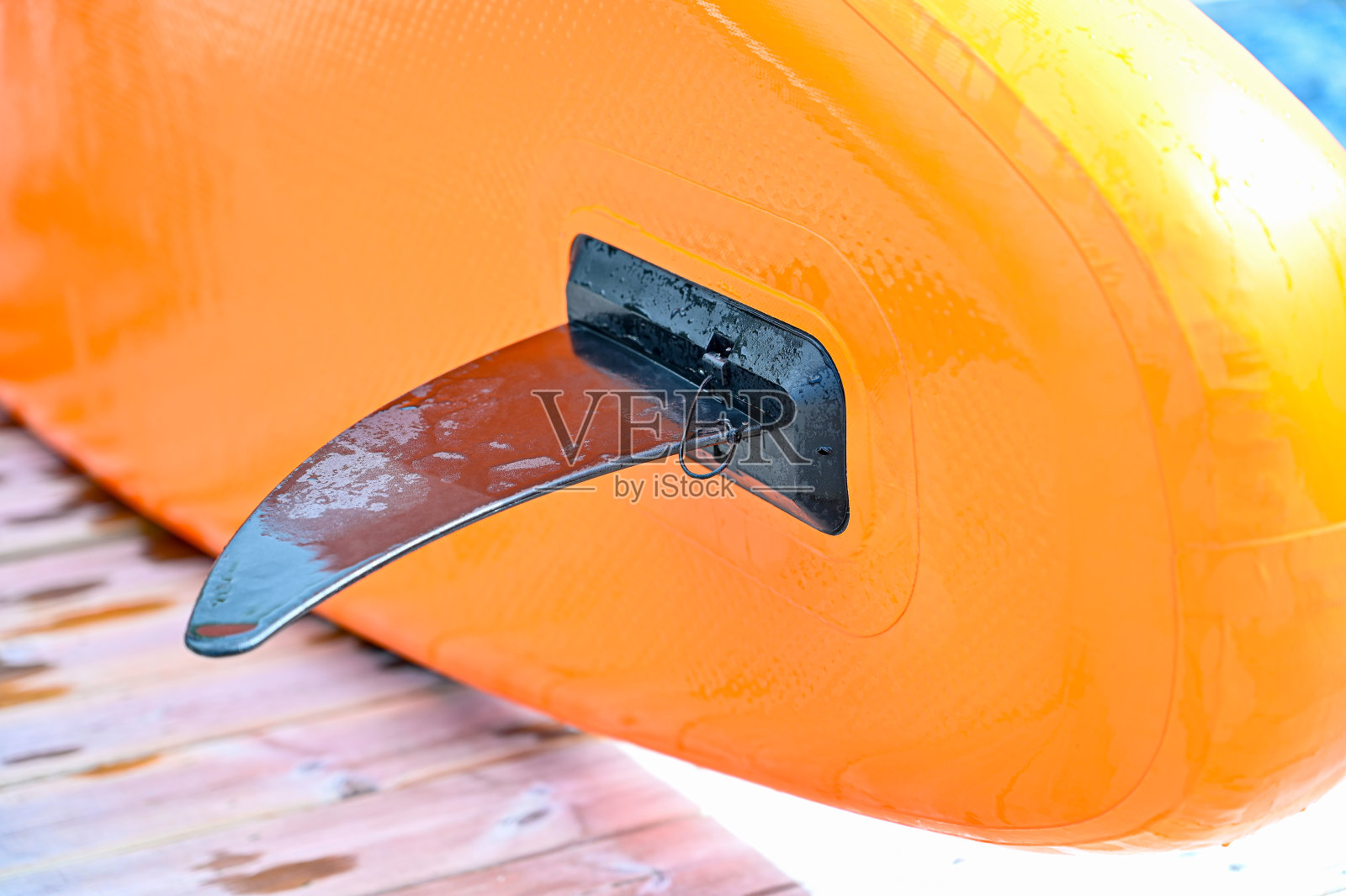 橙色餐板上的黑鳍照片摄影图片