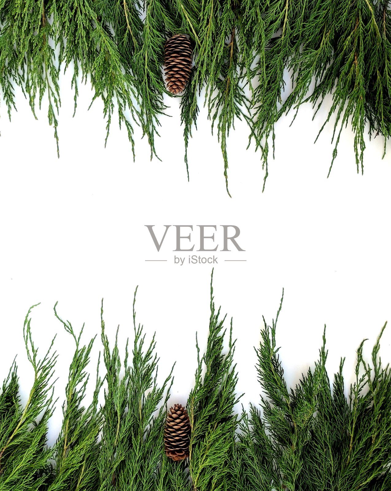 节日圣诞节边界或横幅(模拟的一部分，无缝模式)上的白色背景与复制空间为您的文本。绿色的树枝上装饰着球果。照片摄影图片