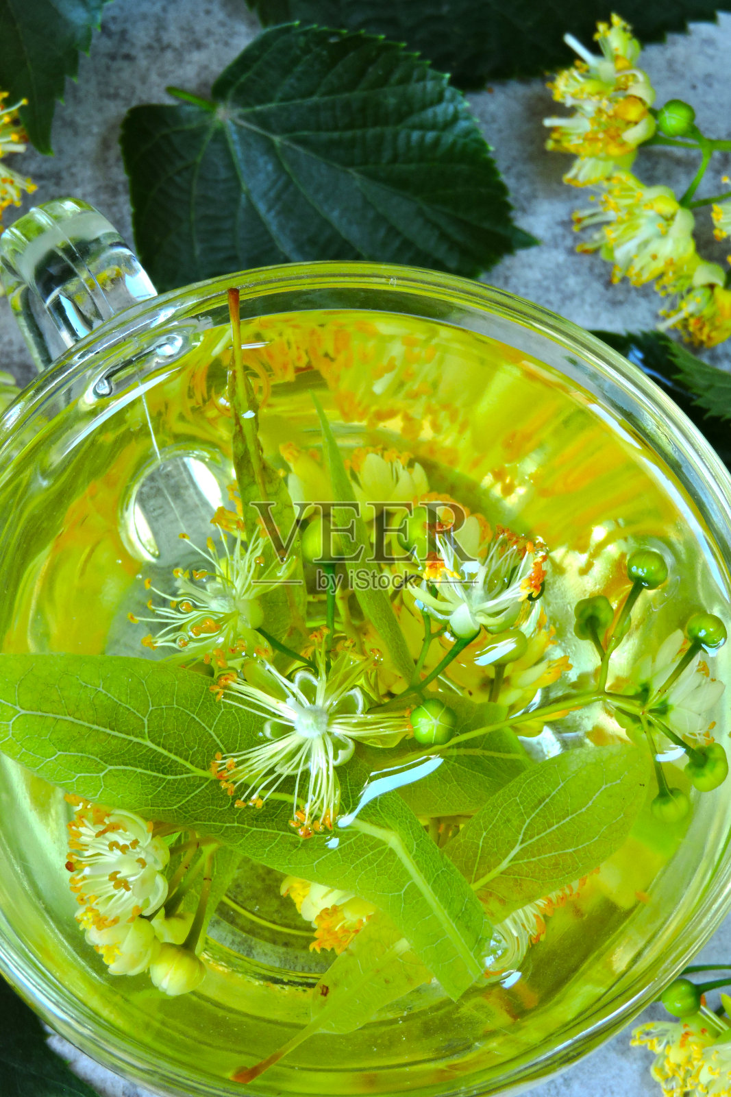 菩提树和菩提茶。照片摄影图片