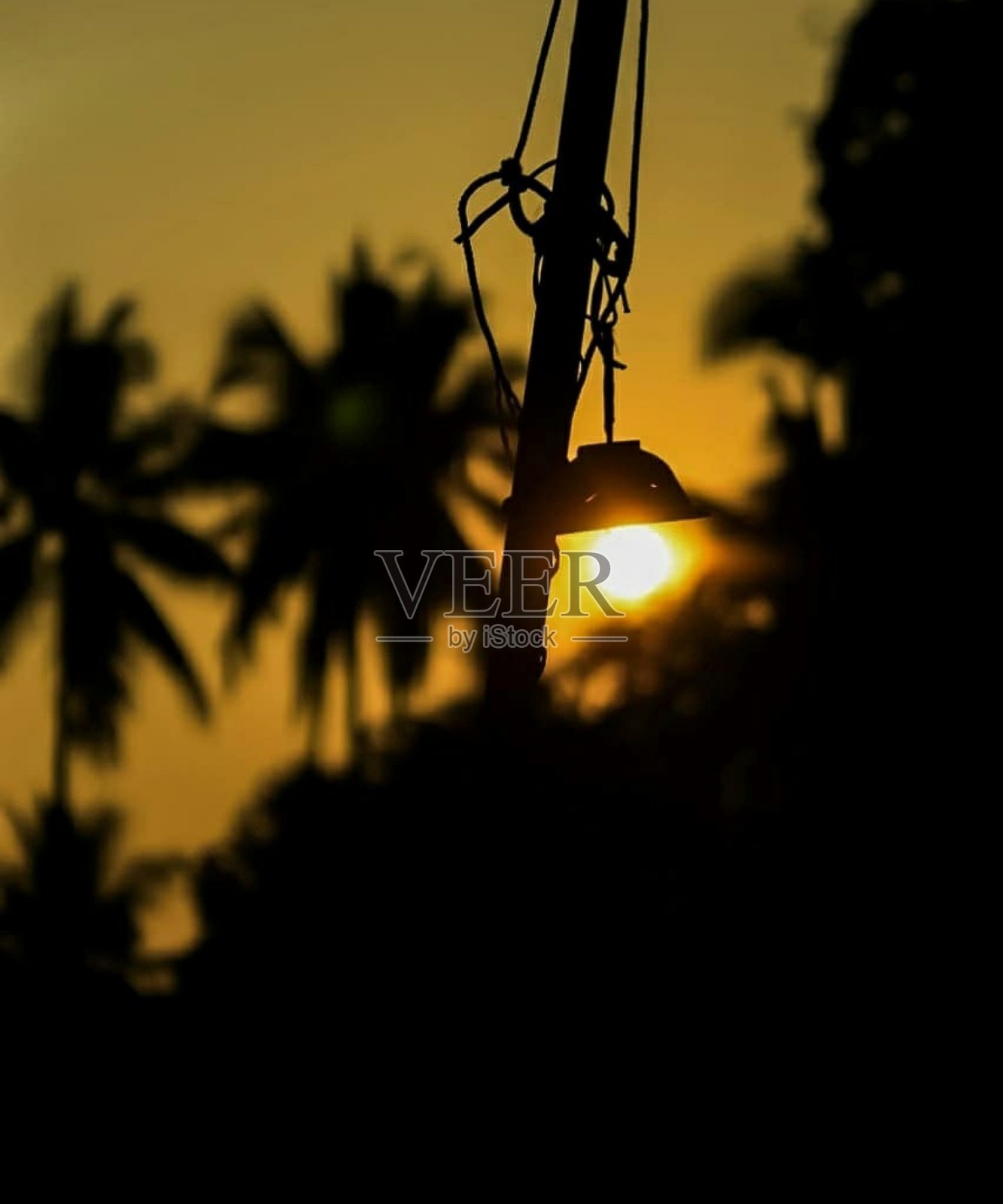 独特的照片摄影图片