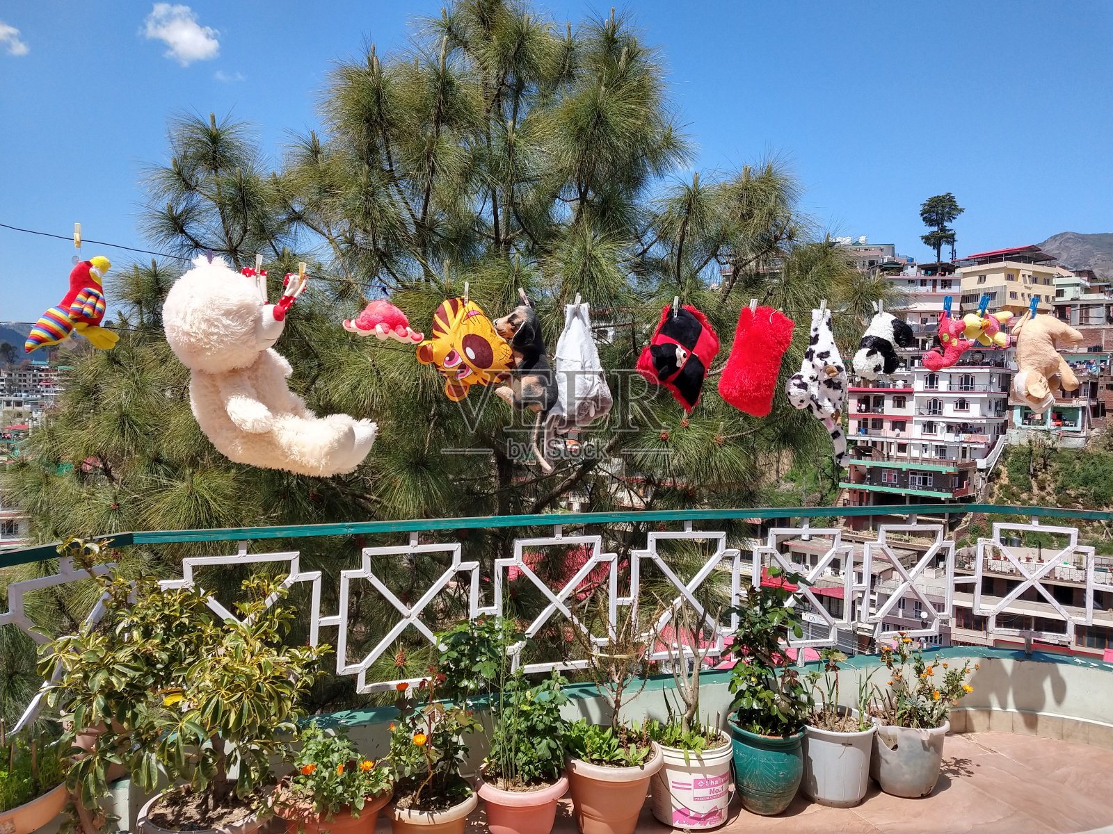 Denzo先生照片摄影图片