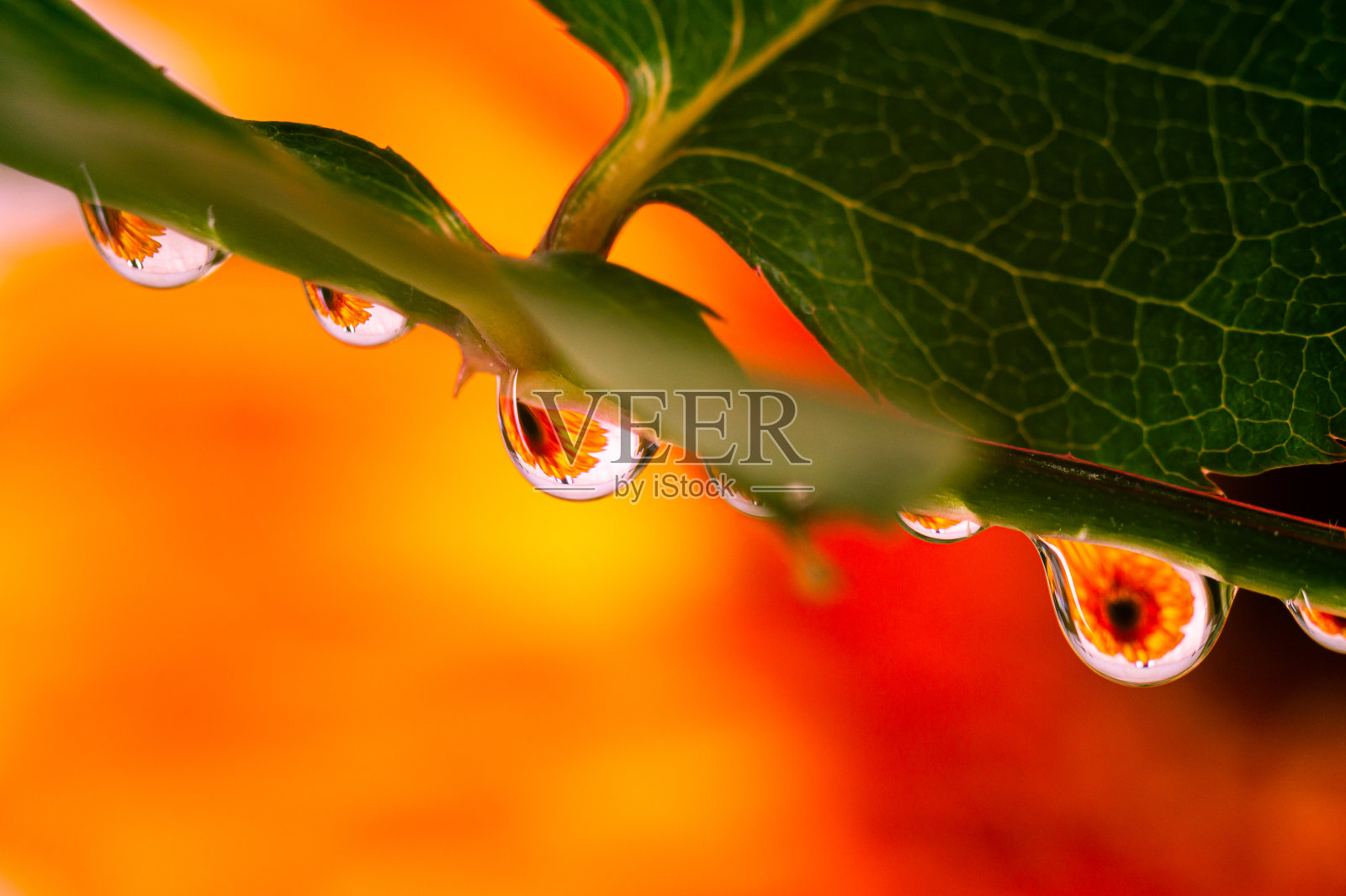 水中之镜照片摄影图片