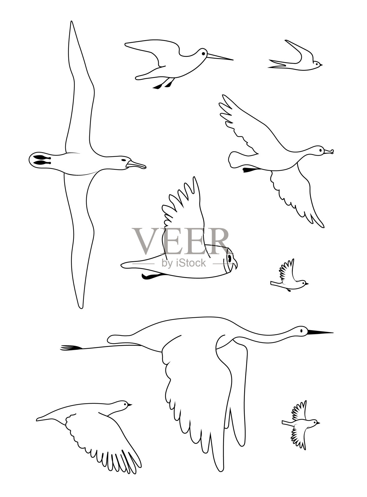 鸟类。矢量黑色绘制剪影图像集。插画图片素材