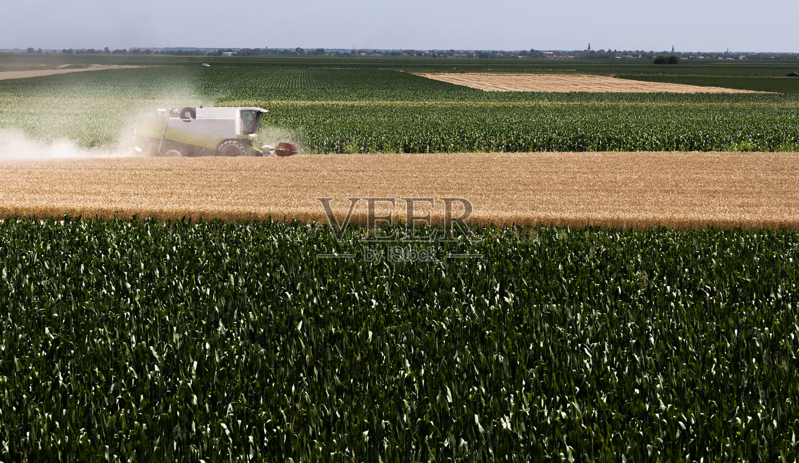 夏季麦田的收获照片摄影图片