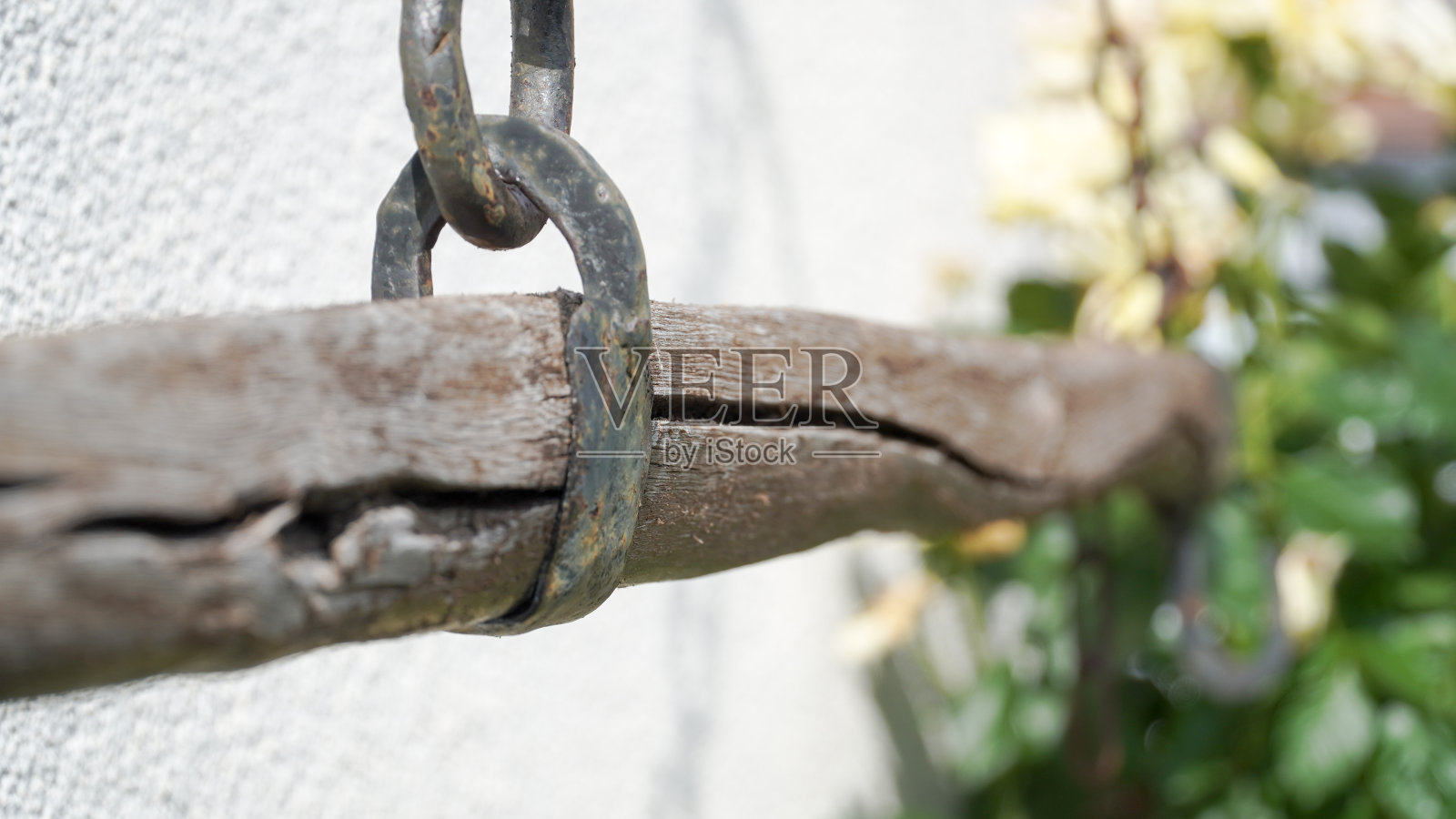 德国富尔达阳光明媚的夏日花园。照片摄影图片