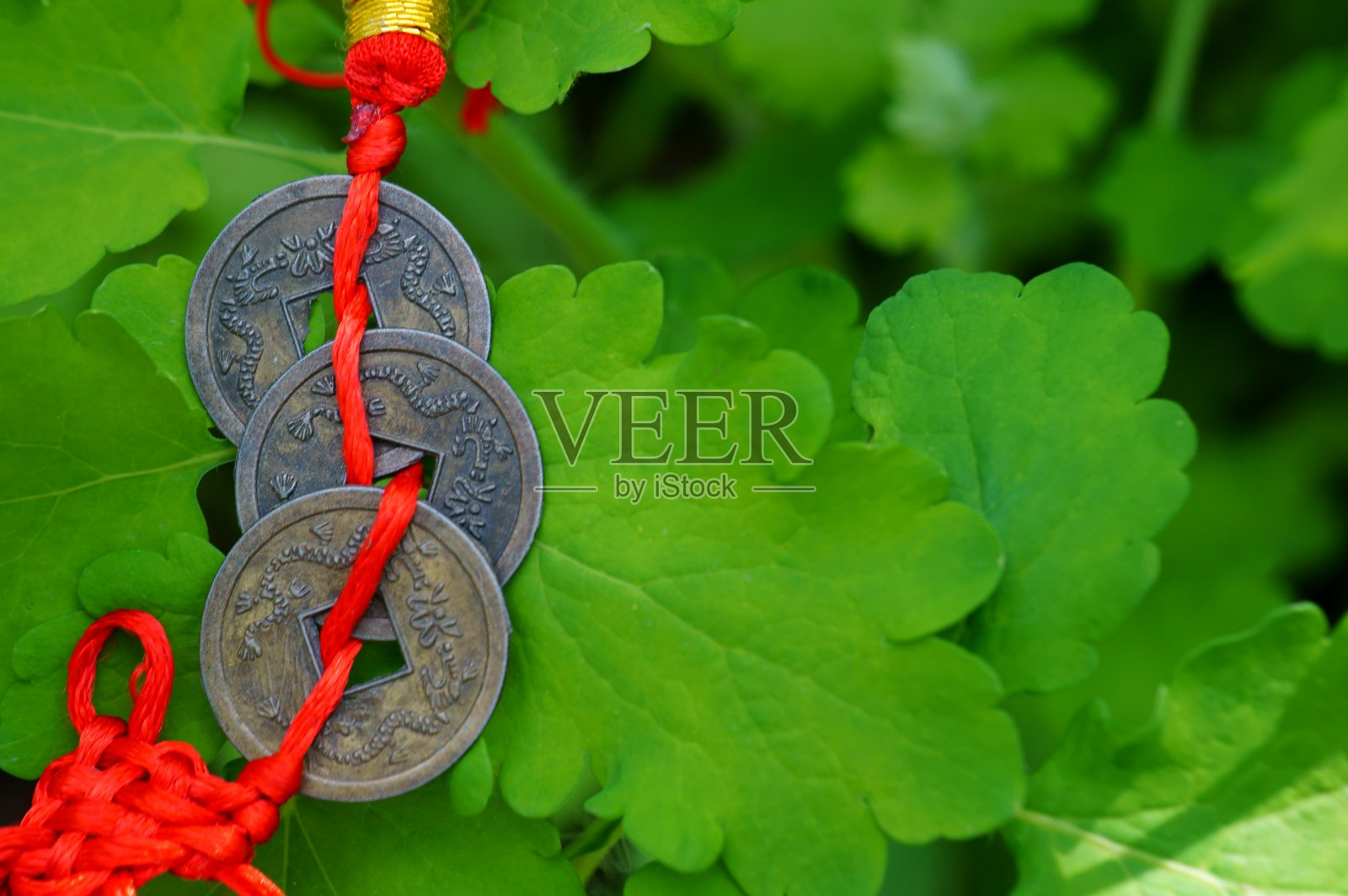 象征风水。照片摄影图片