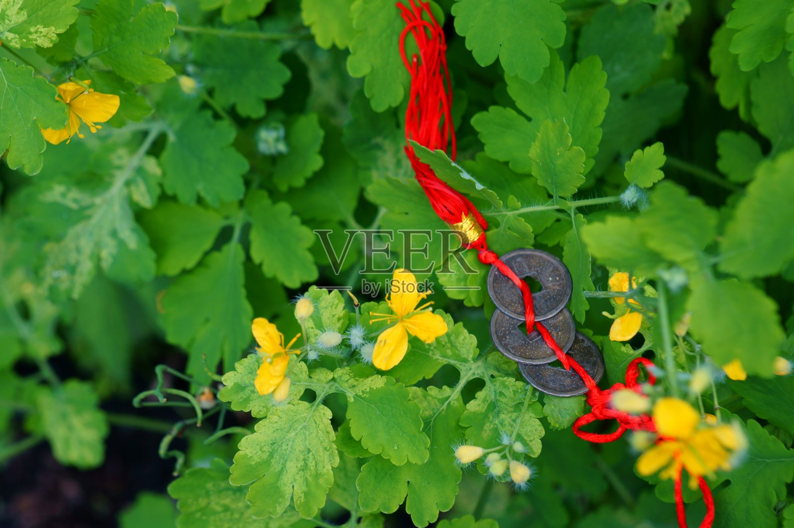 象征风水。照片摄影图片