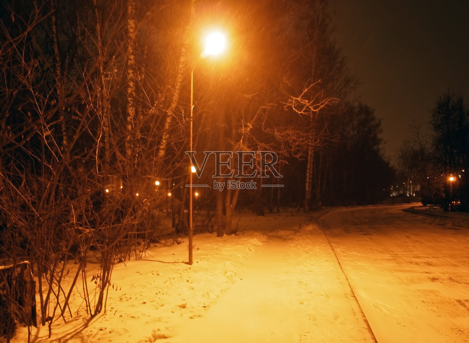 公园里冬天的路灯照片摄影图片