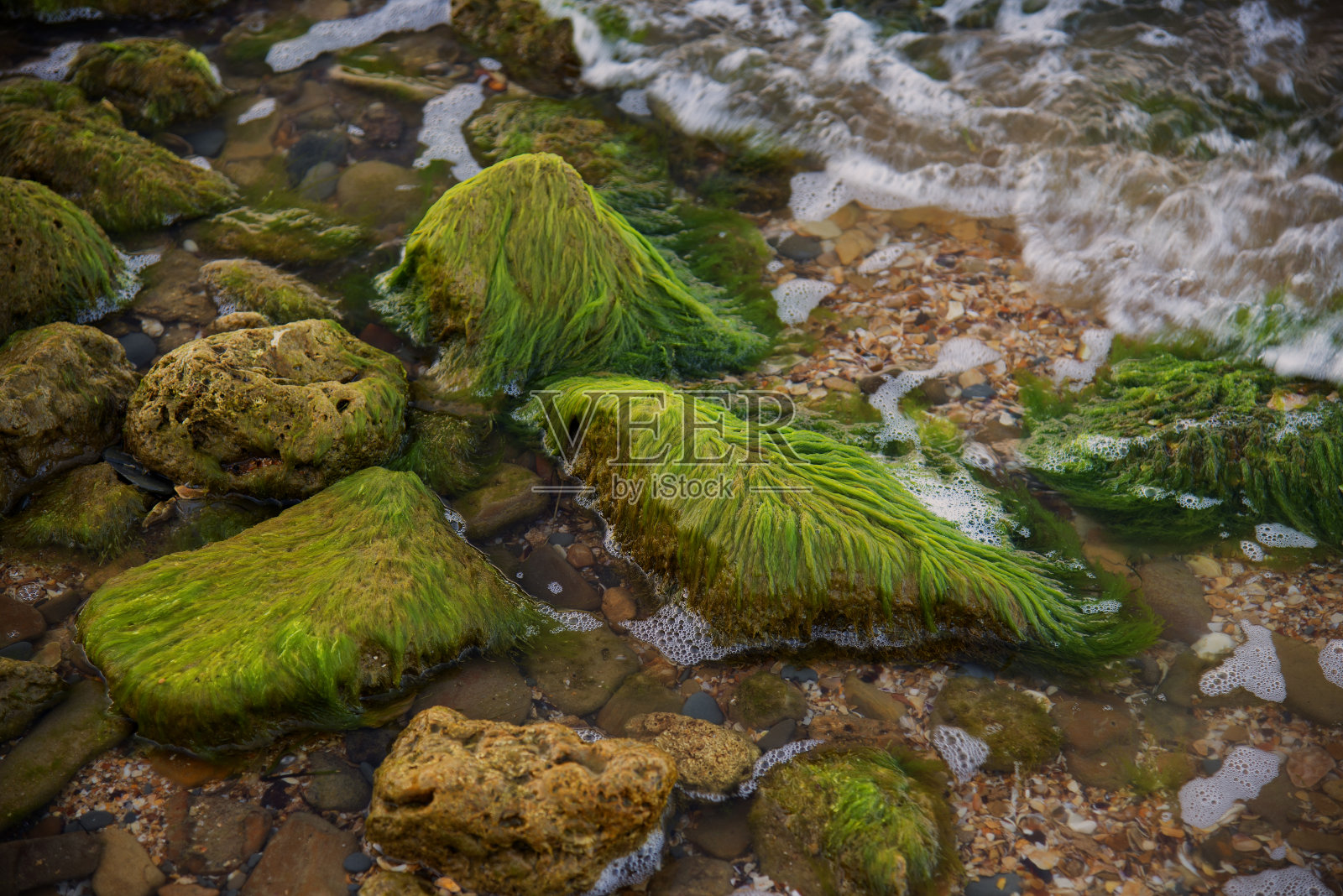 刻赤的黑海海岸。刻赤半岛照片摄影图片