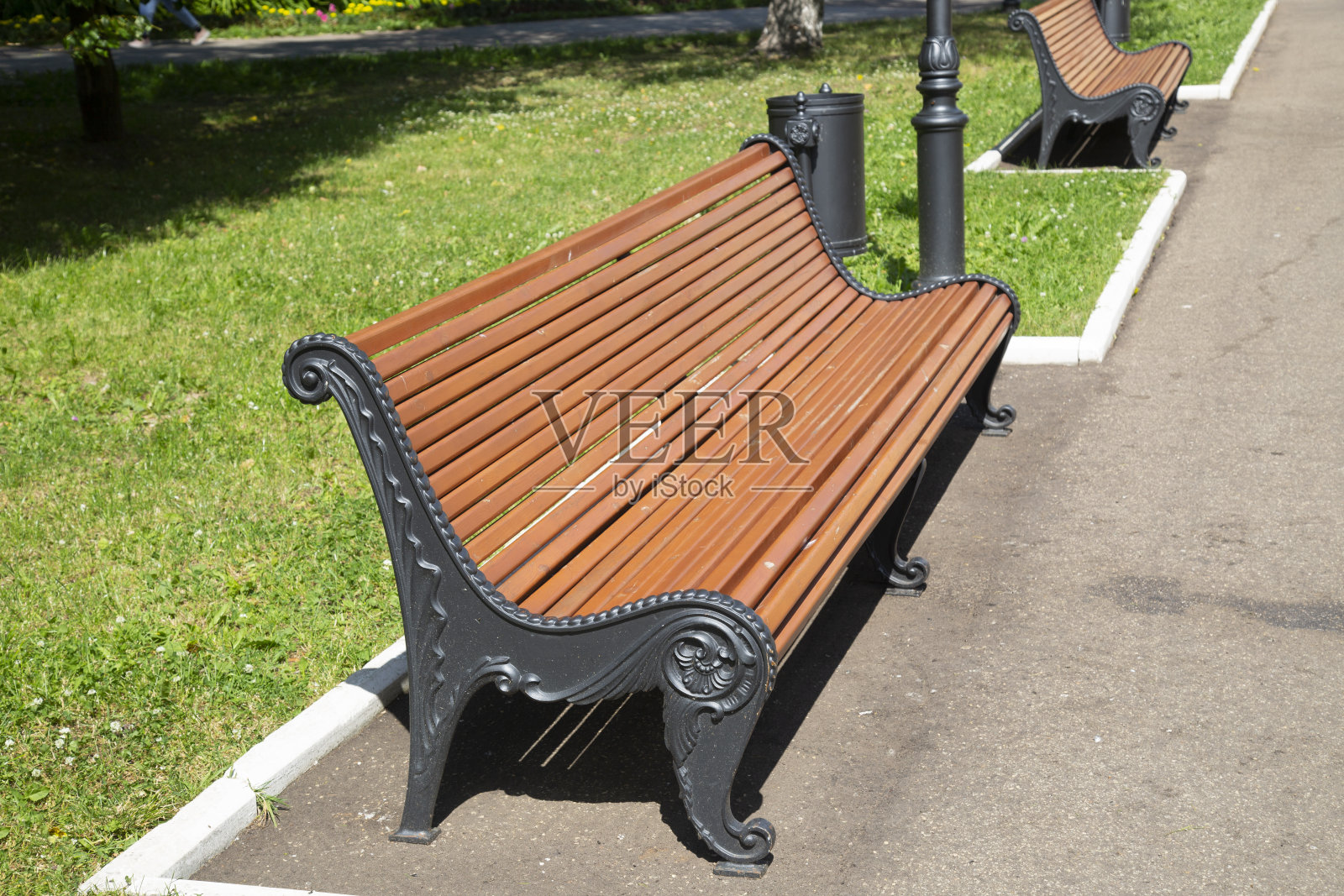 夏天在城市街道上的公园长椅上。照片摄影图片