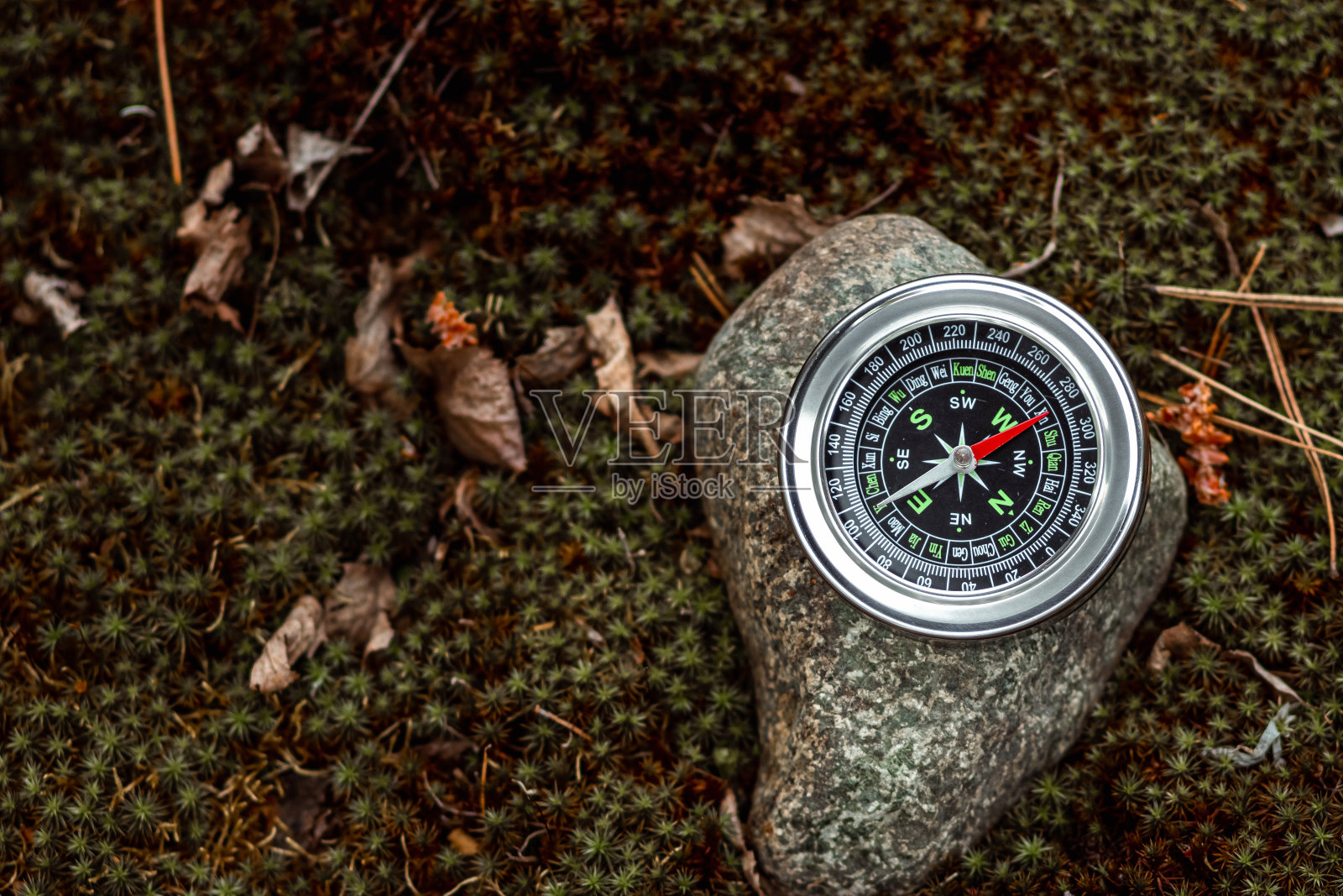 在绿色植物背景上的磁性银色指南针。旅行的概念，寻找方法，度假。副本的空间。照片摄影图片