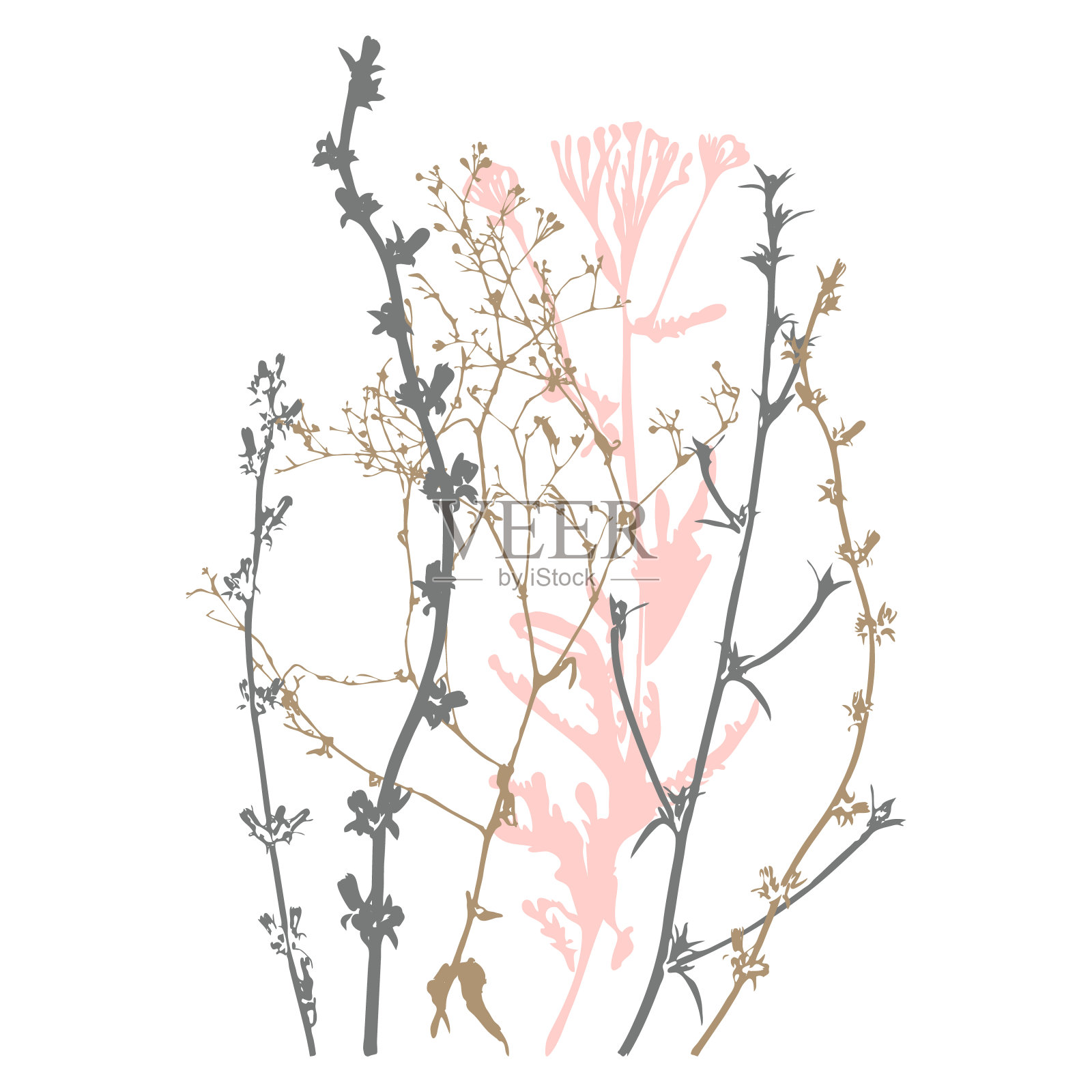 植物插图，植物，野花和草插画图片素材