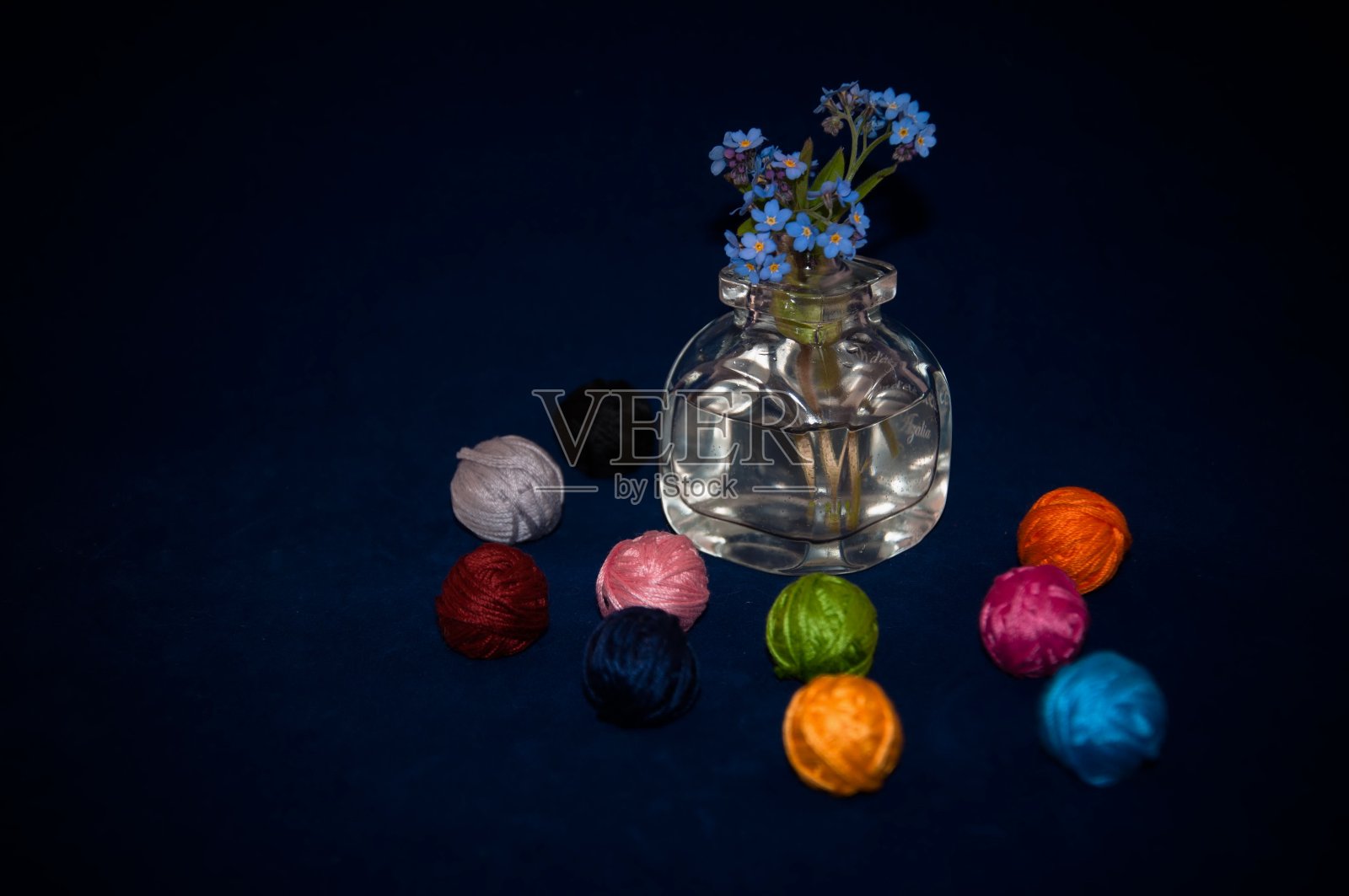 勿忘我2照片摄影图片