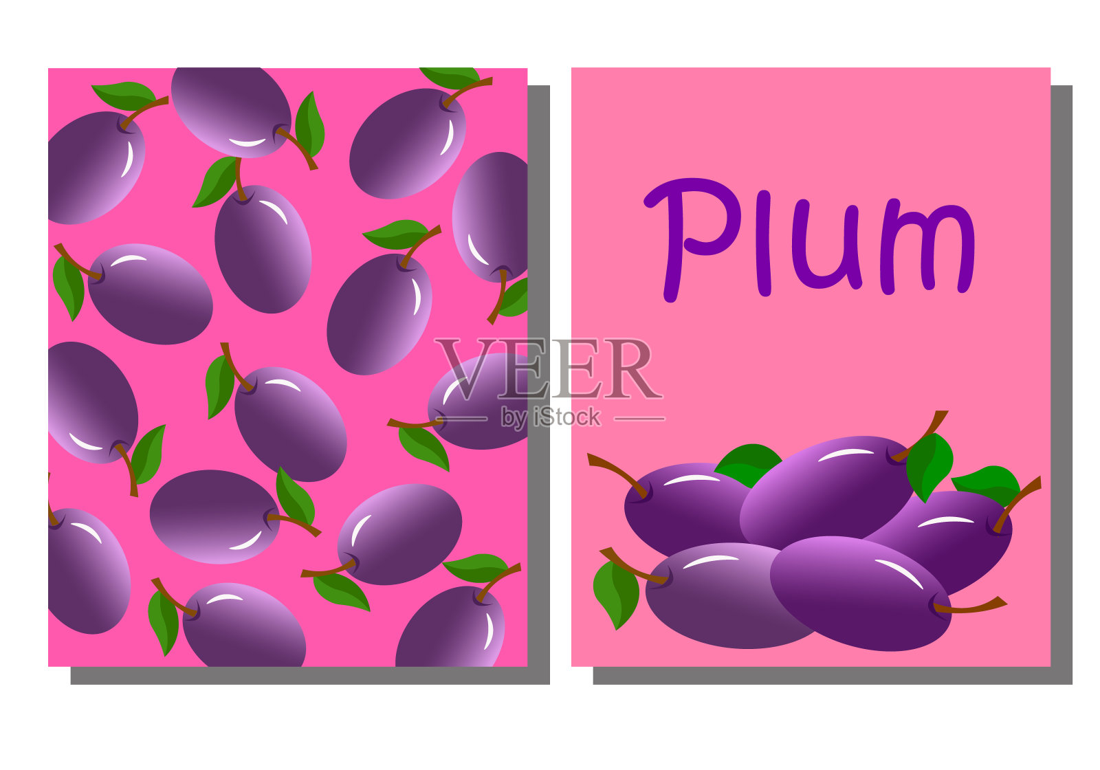 一套两张梅花卡片。矢量插图。插画图片素材