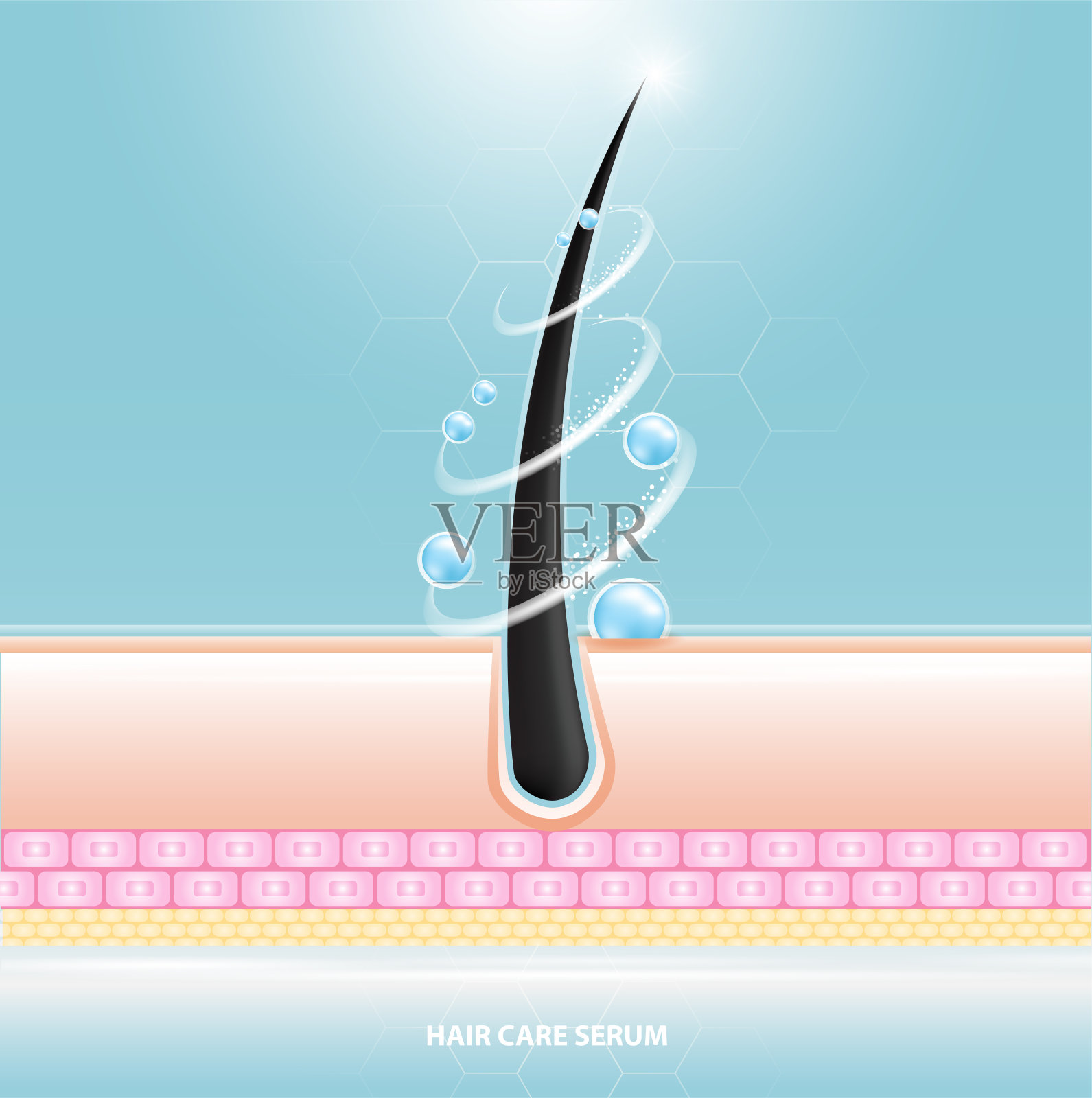 护发血清毛囊诊断。解剖皮肤、医用人体、表皮层、矢量插图设计。设计模板素材