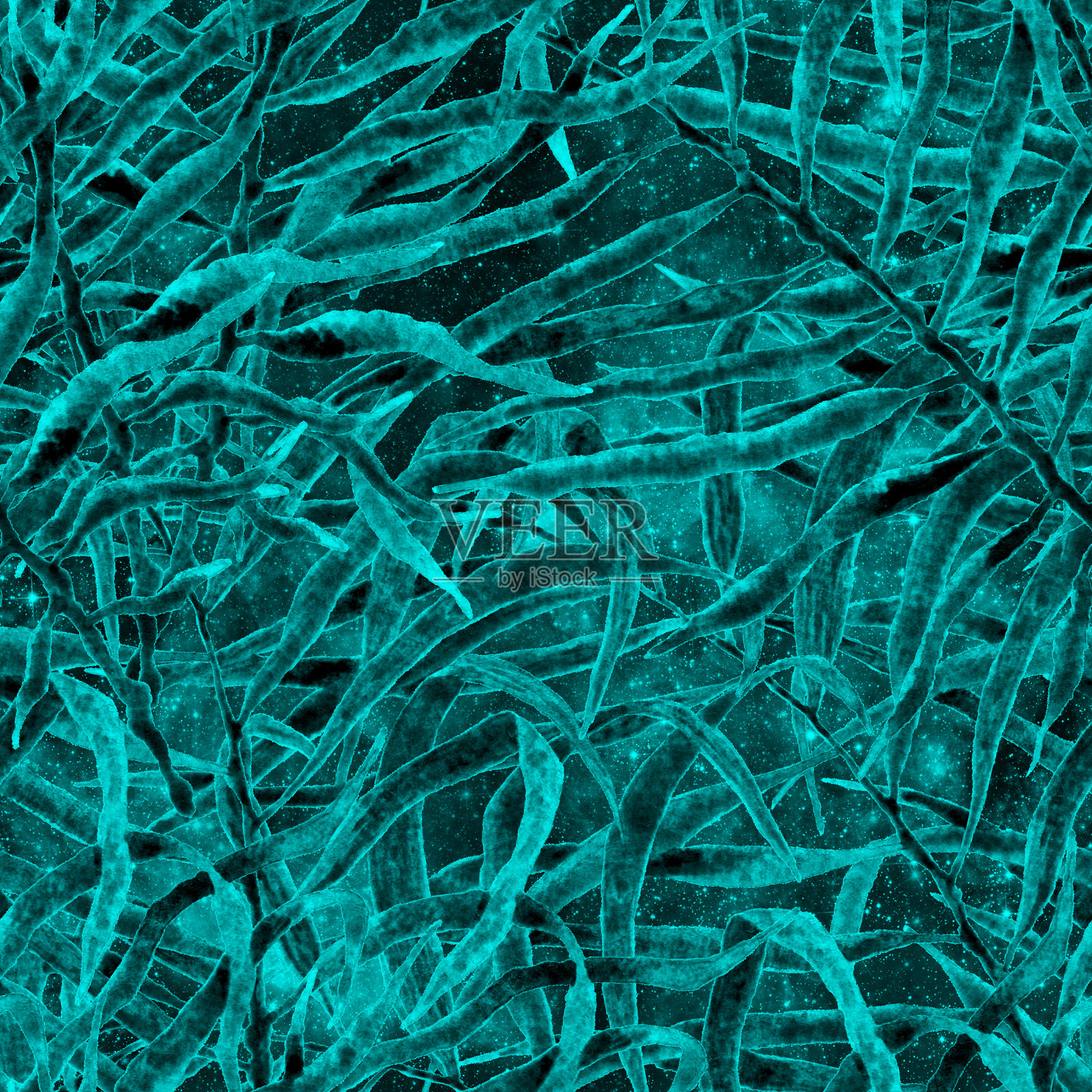 异国情调的无缝模式。蓝绿色的宇宙插画图片素材