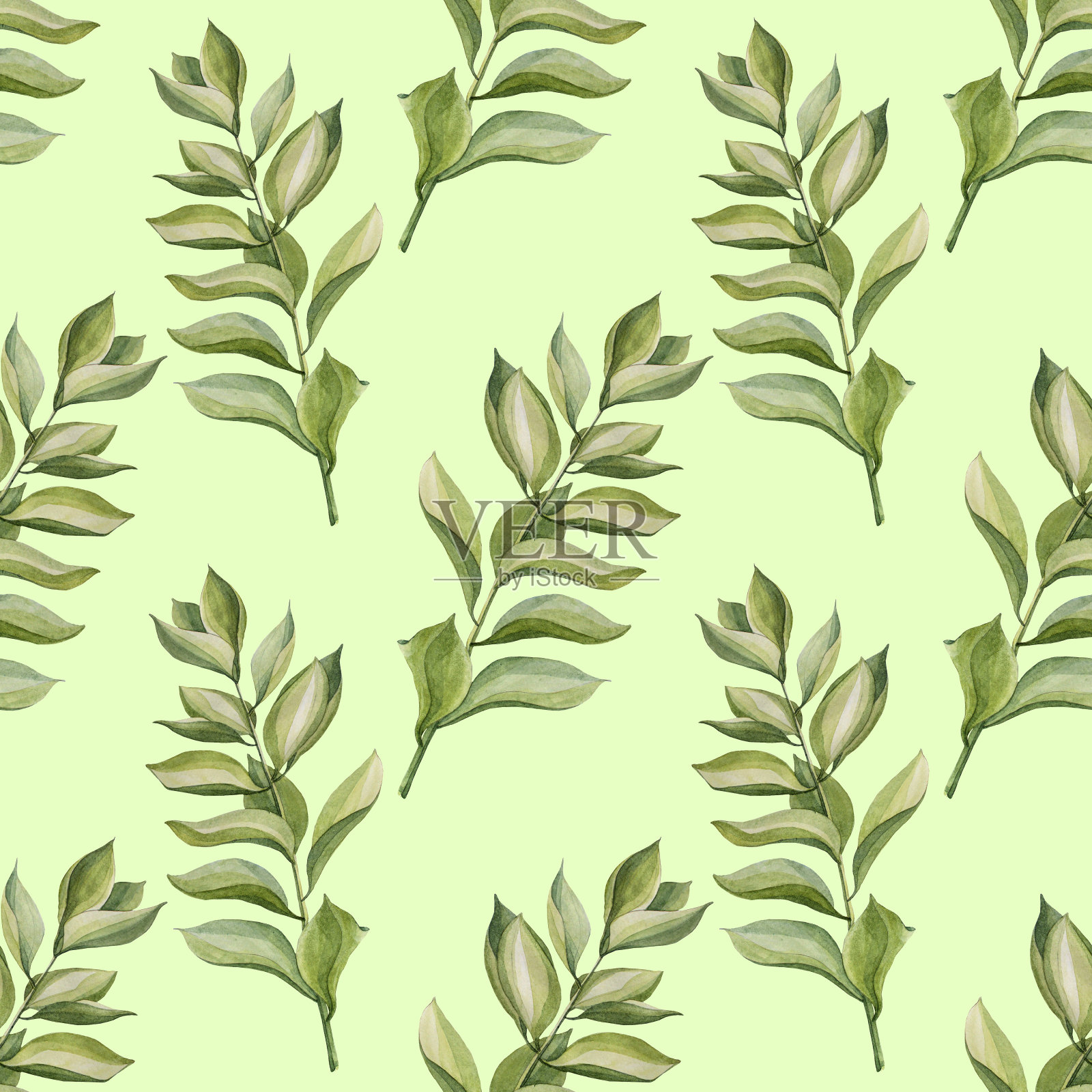 无缝图案水彩手绘绿枝肉质扎米库尔卡叶植物在绿色背景艺术创作自然。包装，纺织，卡片，墙纸，花店插画图片素材