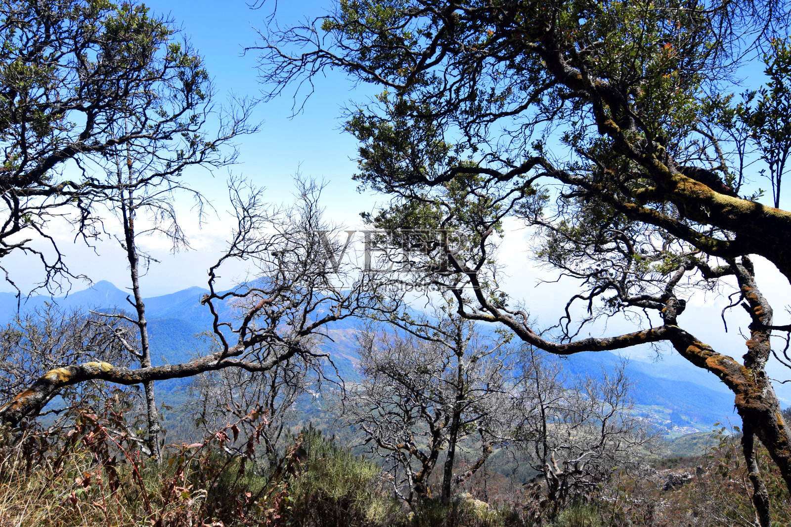 拉乌山顶自然风光优美照片摄影图片