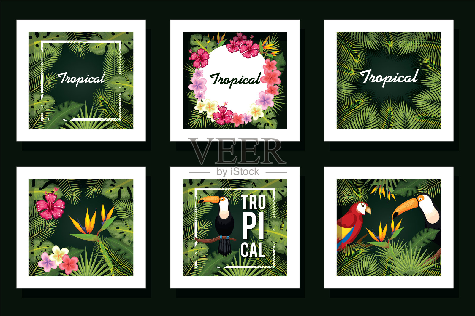 包设计树叶和动物的热带插画图片素材