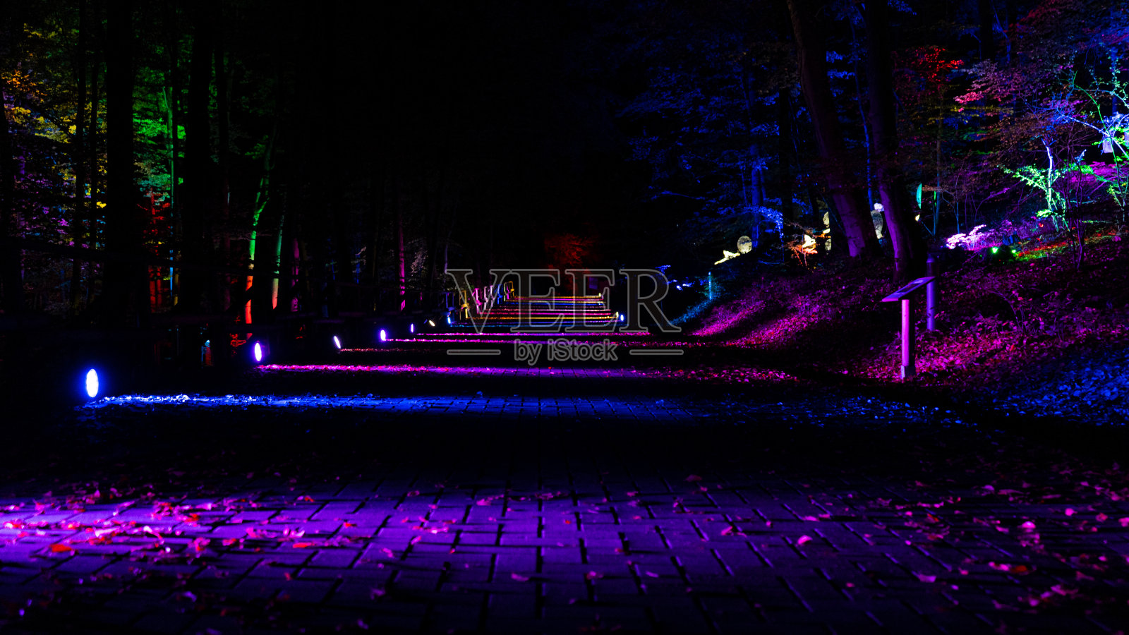 灯的夜晚照片摄影图片