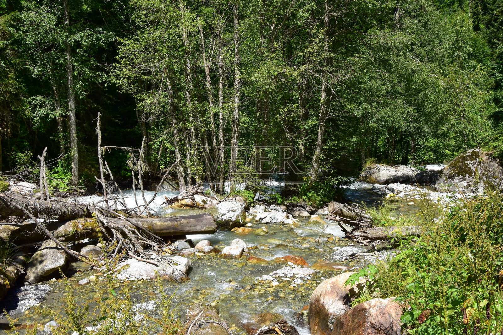 小河在夏季的一个早晨，高加索山脉照片摄影图片
