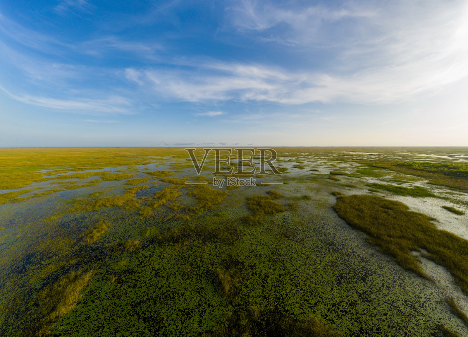 美丽的照片佛罗里达大沼泽地树岛照片摄影图片