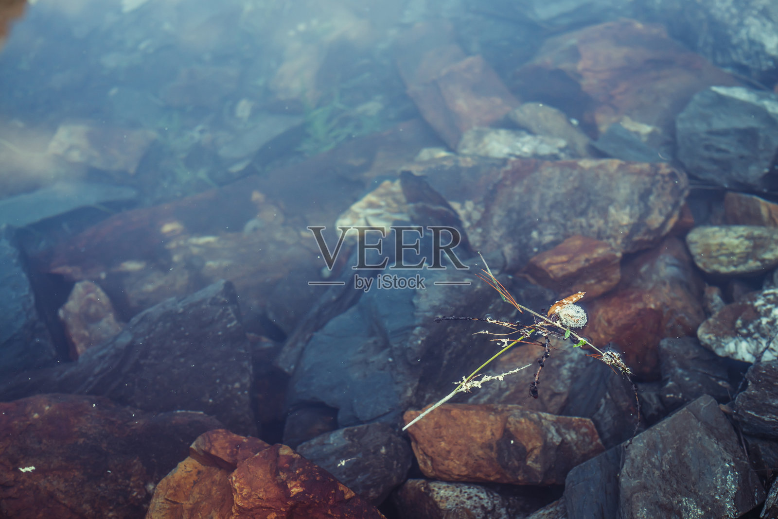 自然照片摄影图片