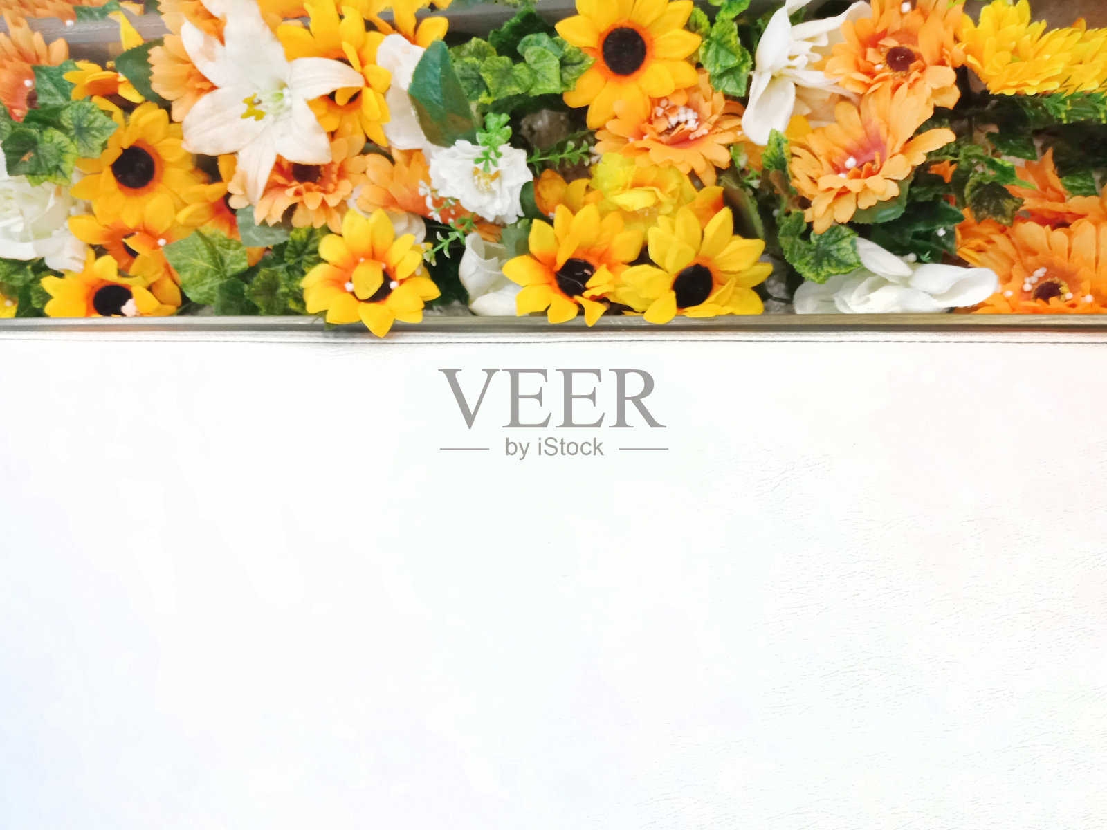 空白与向日葵背景照片摄影图片