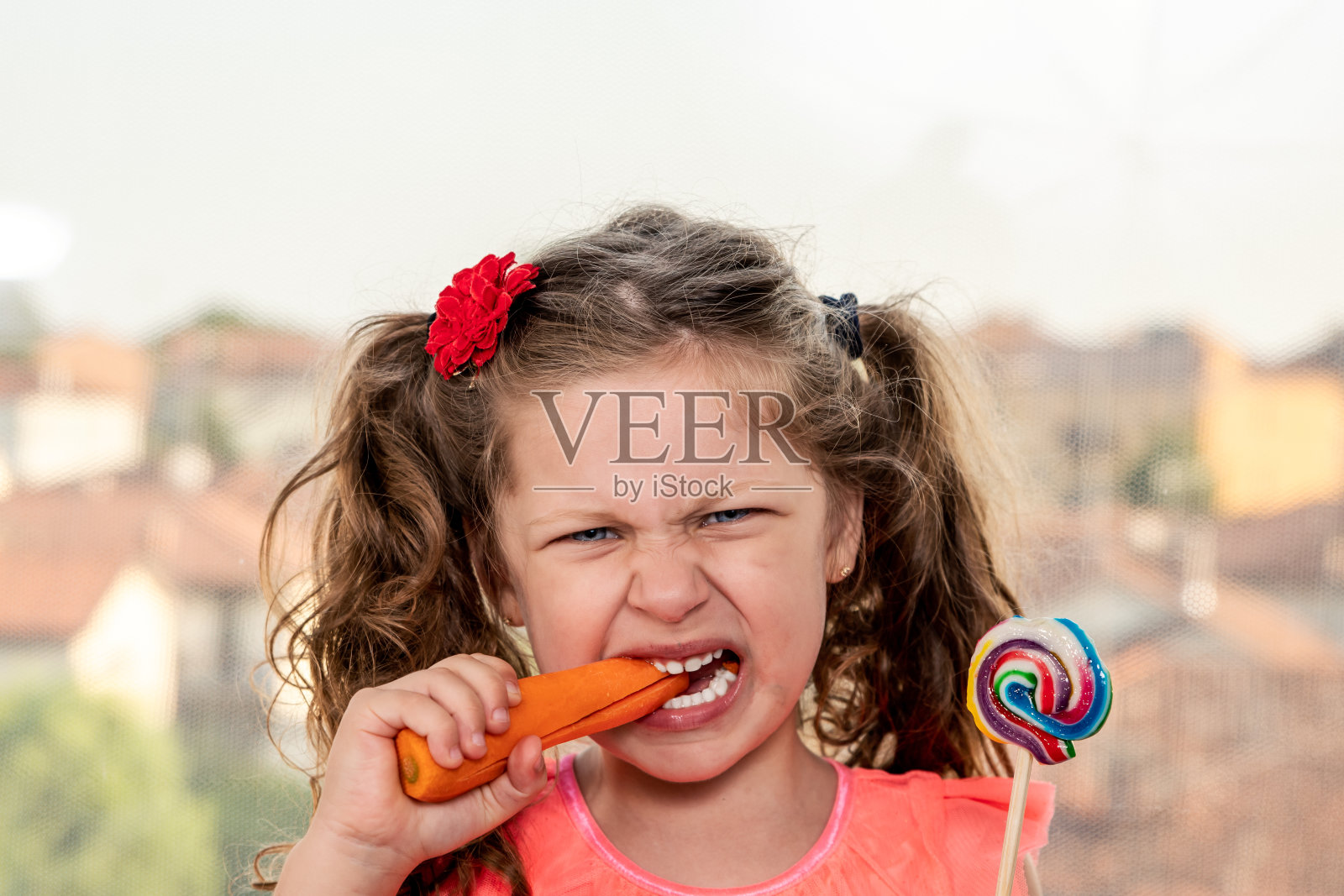 食品的概念照片摄影图片