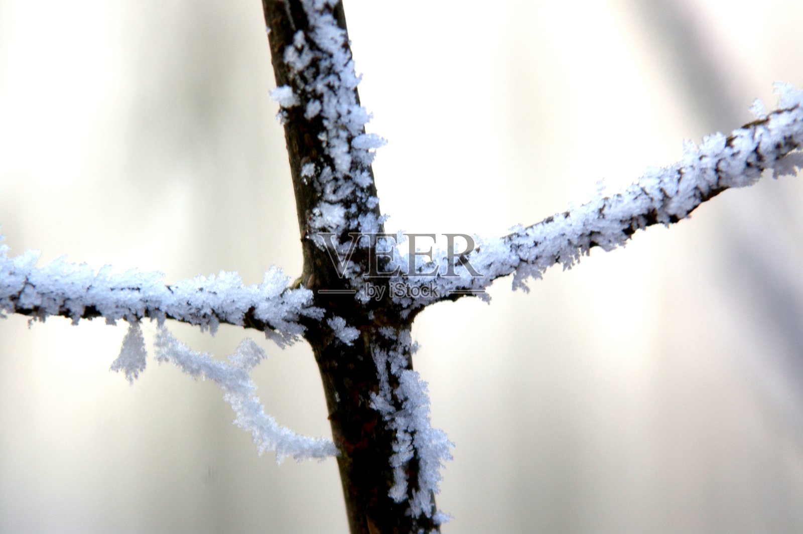 冰冻的性质照片摄影图片