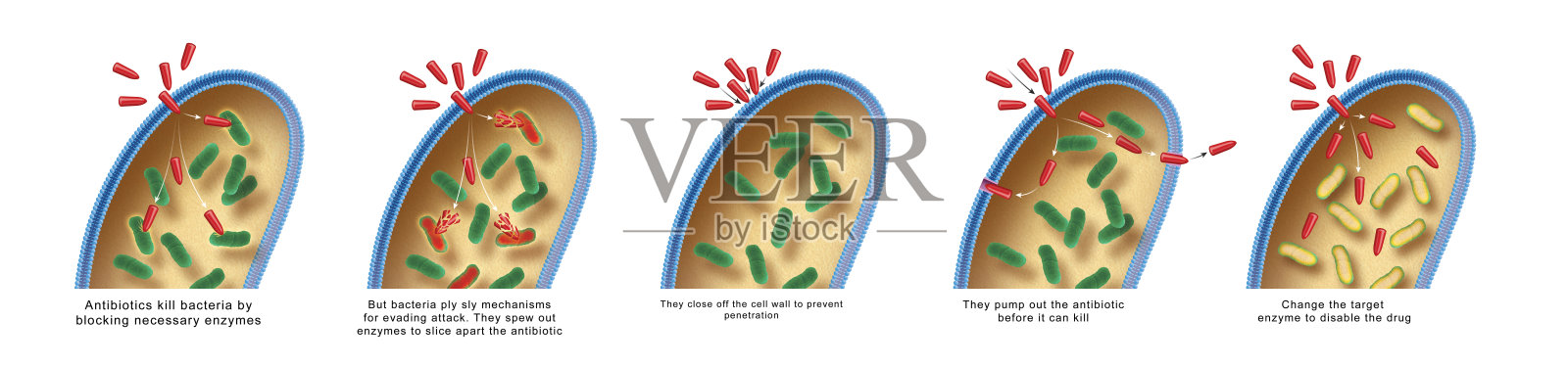 抗生素插画图片素材