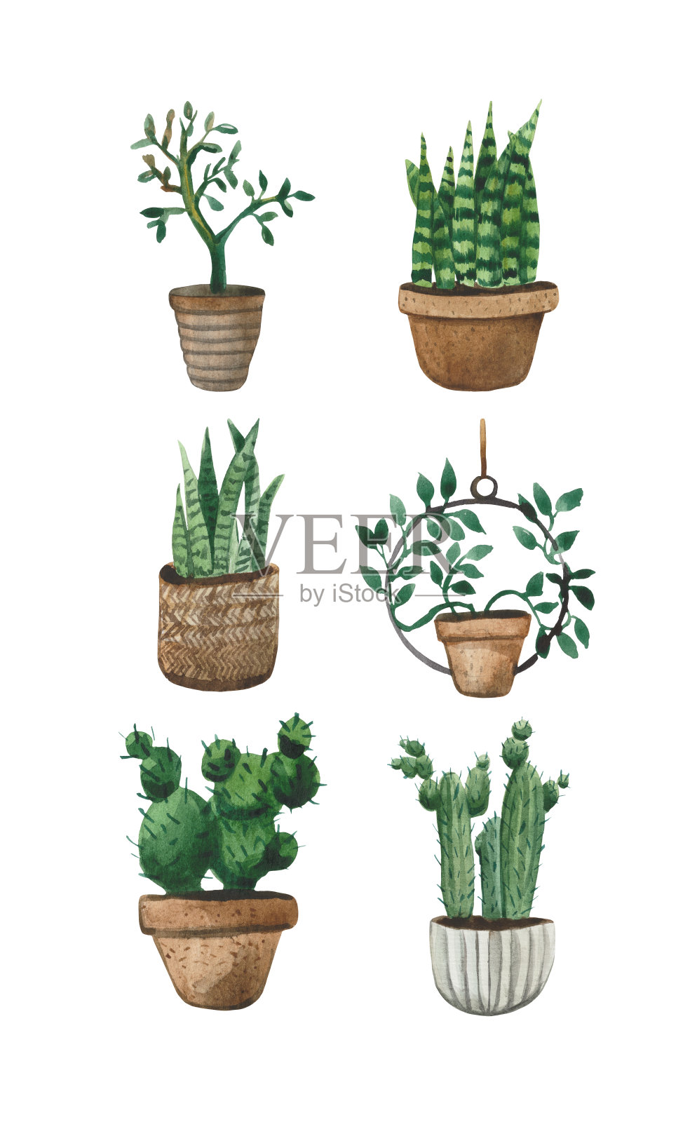 水彩画家庭植物在花盆在一个斯堪的纳维亚风格。插画图片素材