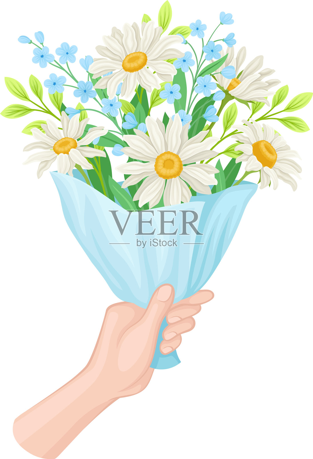 用棕色包装的甘菊花束插画图片素材