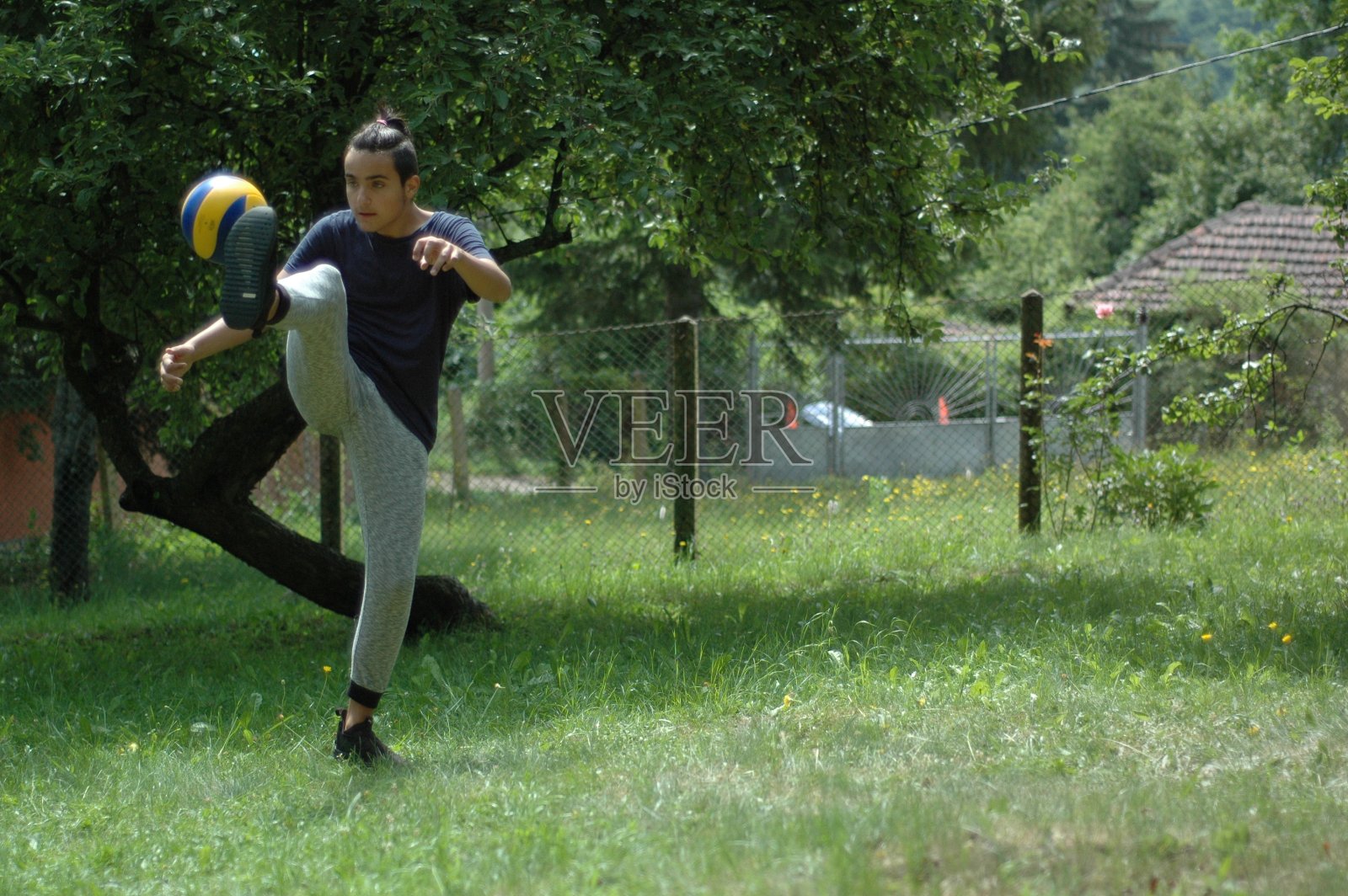 在后院训练足球。照片摄影图片