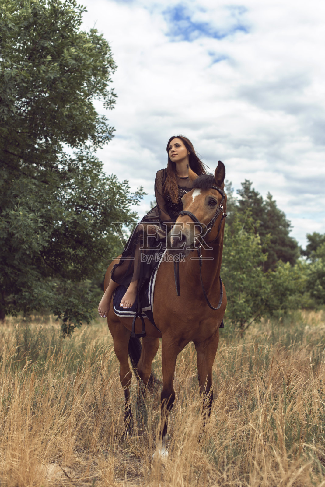 女孩骑着一匹棕色的马在田野里照片摄影图片