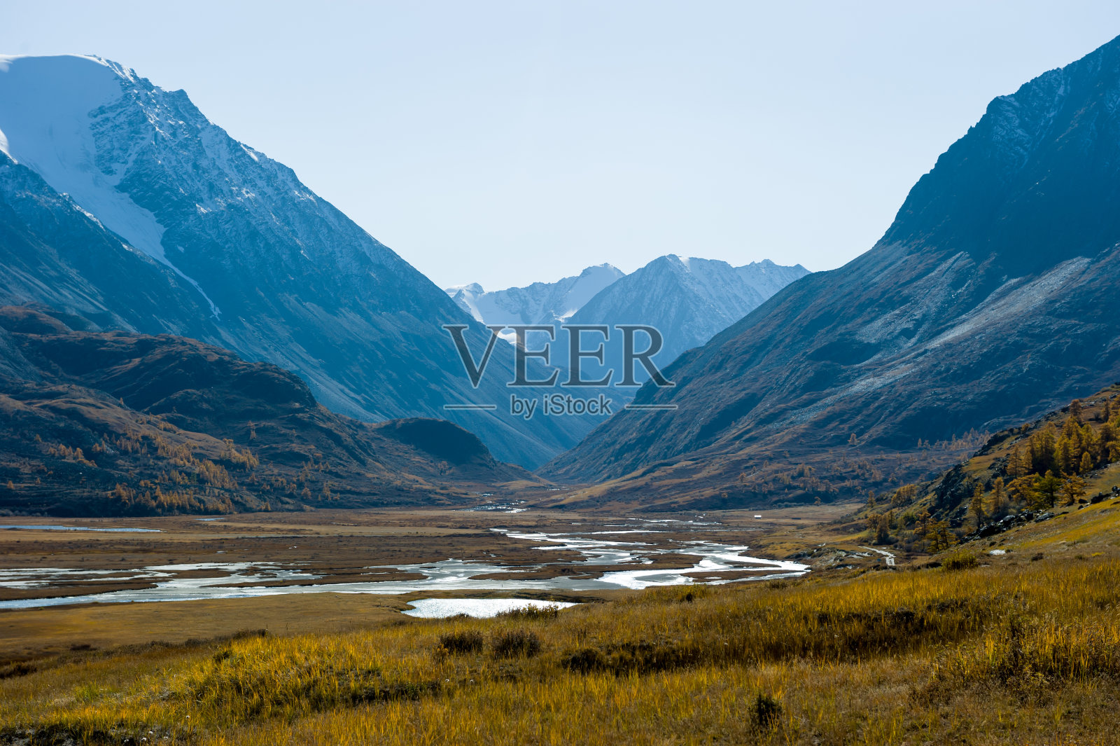 这条河是在阿尔泰山脉的一个山谷，秋天的树木，山顶上的雪帽，黄色的草。照片摄影图片