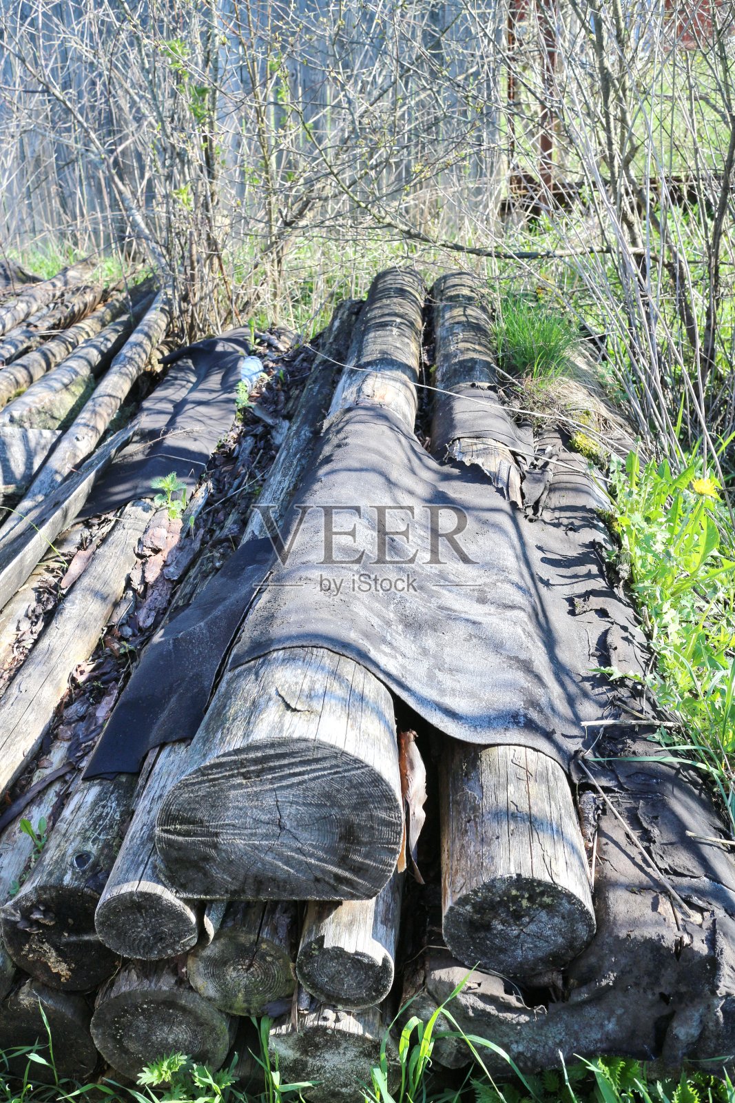 旧木板和原木特写照片摄影图片