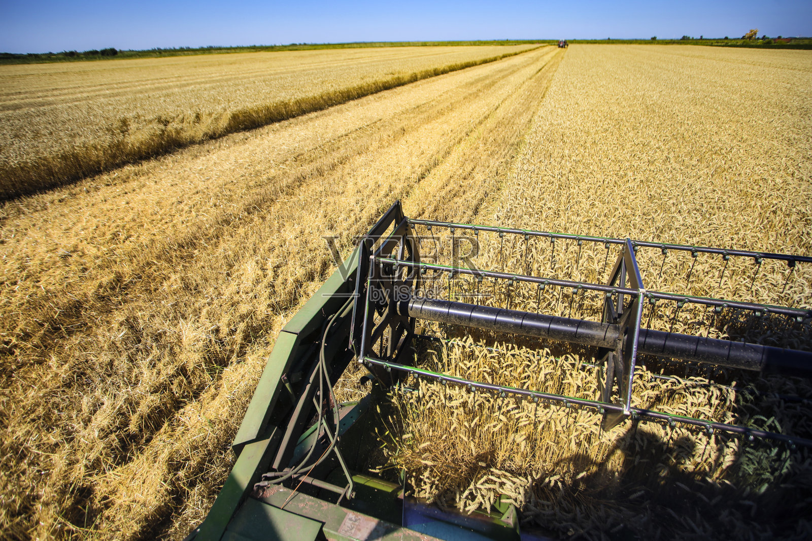 收获照片摄影图片
