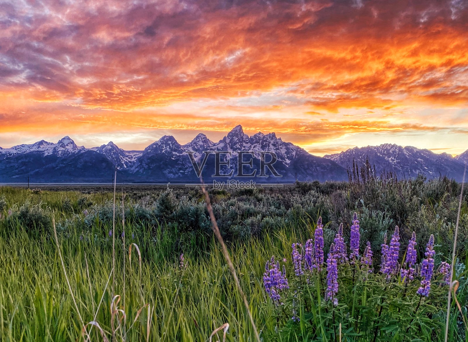 天然画布照片摄影图片