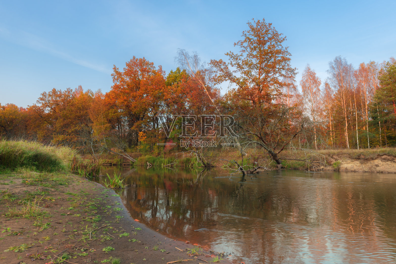 秋季景观有森林和河流照片摄影图片